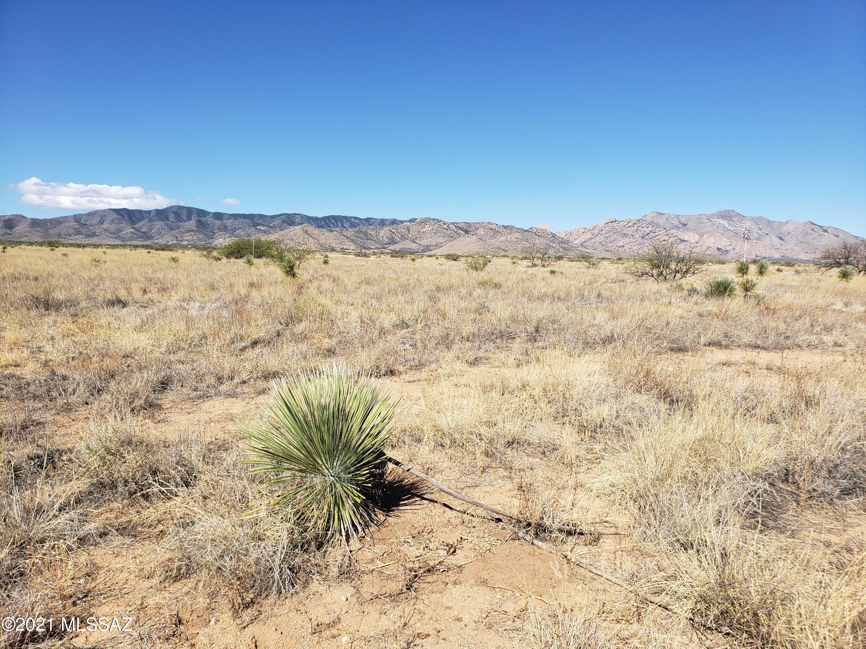 Arizona Sun Sites - Land