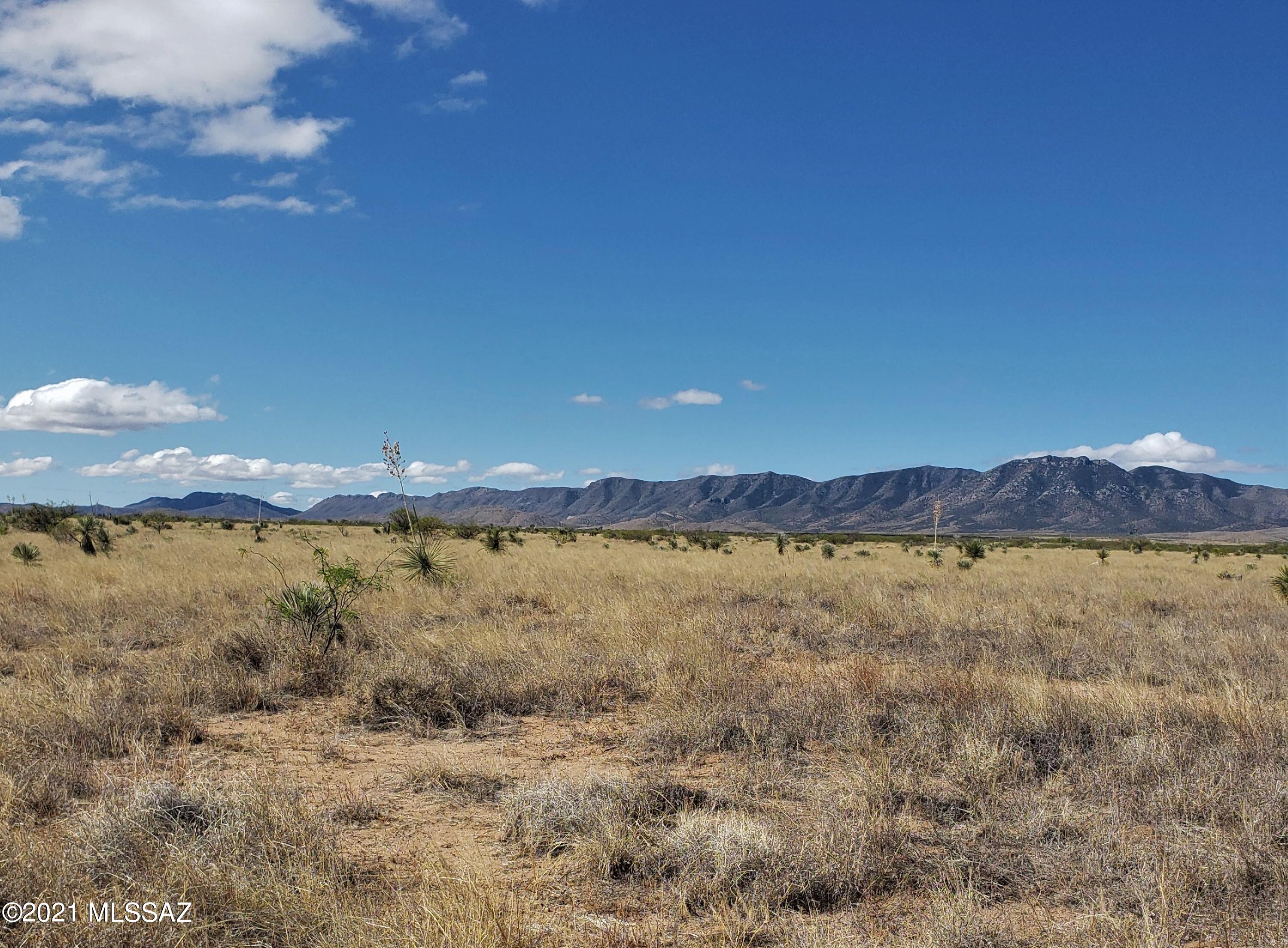 Come see the beauty of the High Desert with Majestic Views of the Dragoon Mountains.  Two adjoining lots running north and south.  Perfect place to relax and enjoy the country side.