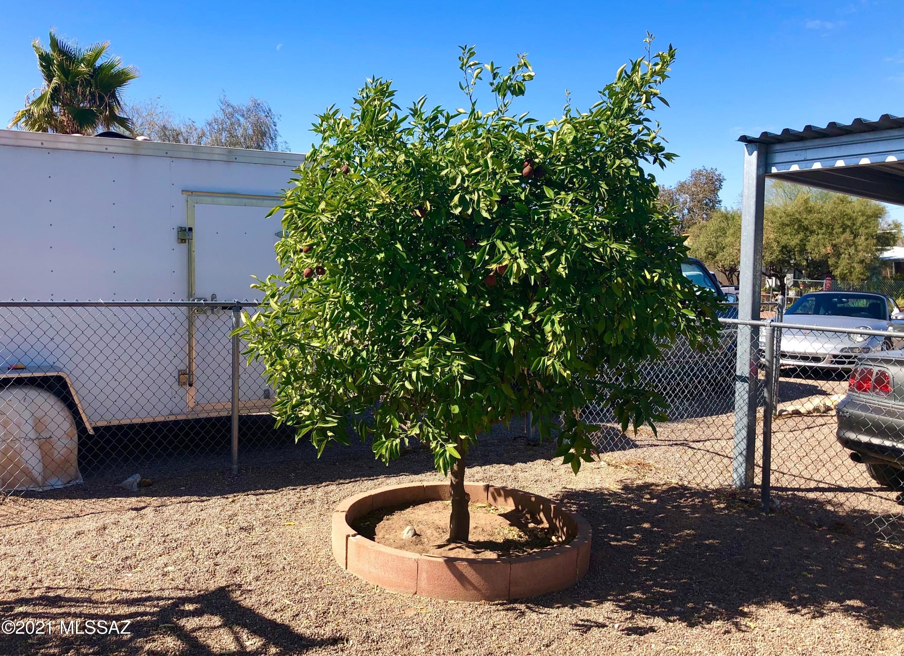 Palm Grove Estates - Residential Income
