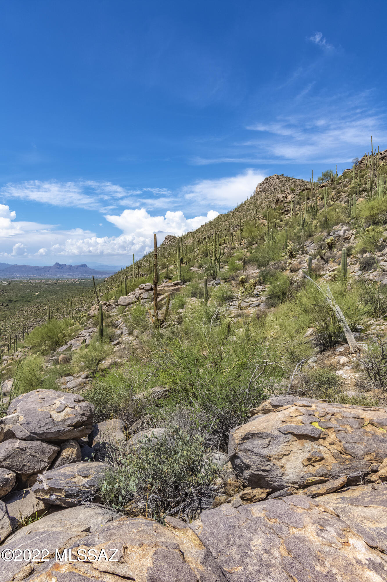 Saguaro Ranch II (L 50-51;53-65) - Land