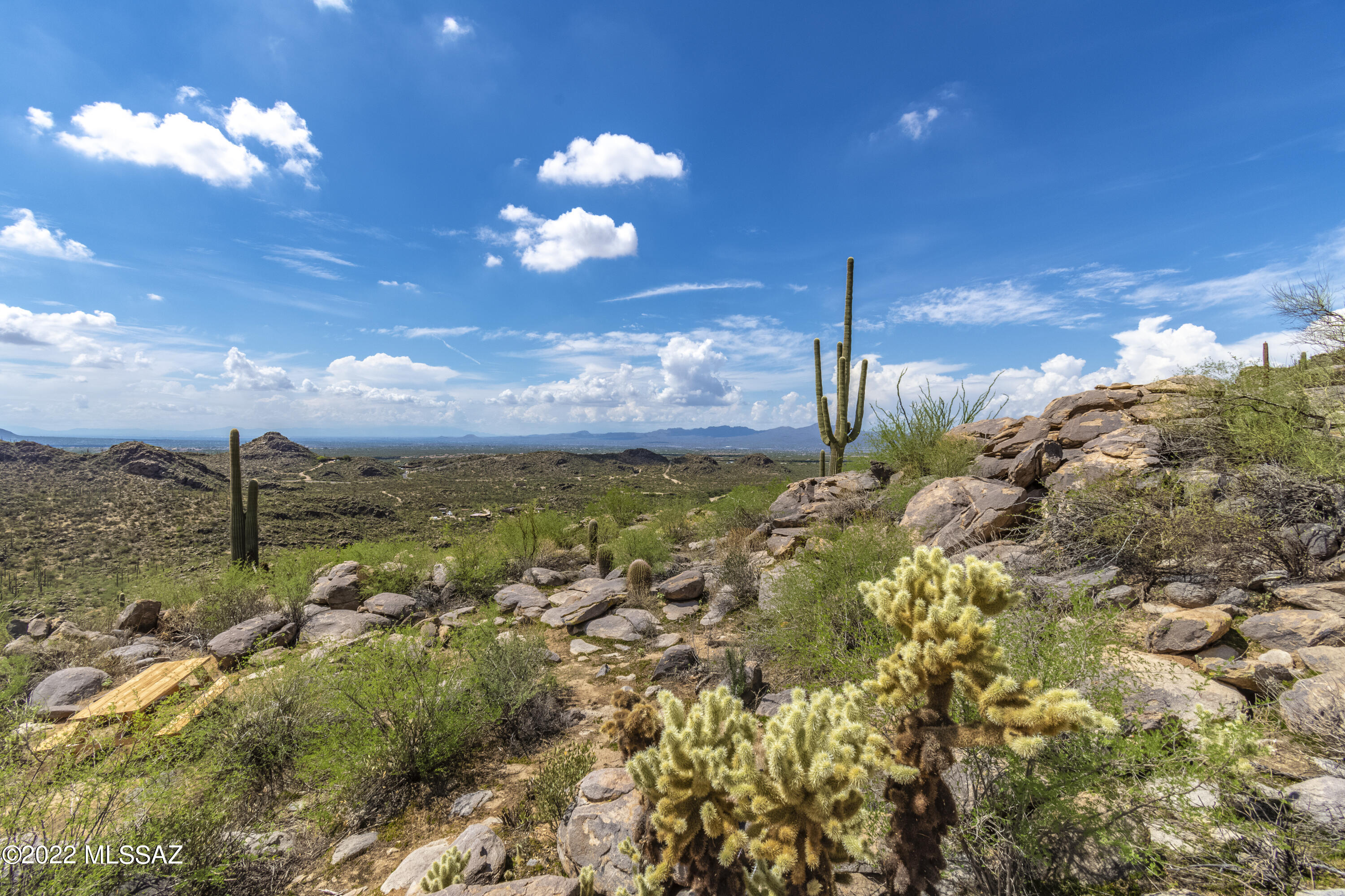 Saguaro Ranch II (L 50-51;53-65) - Land
