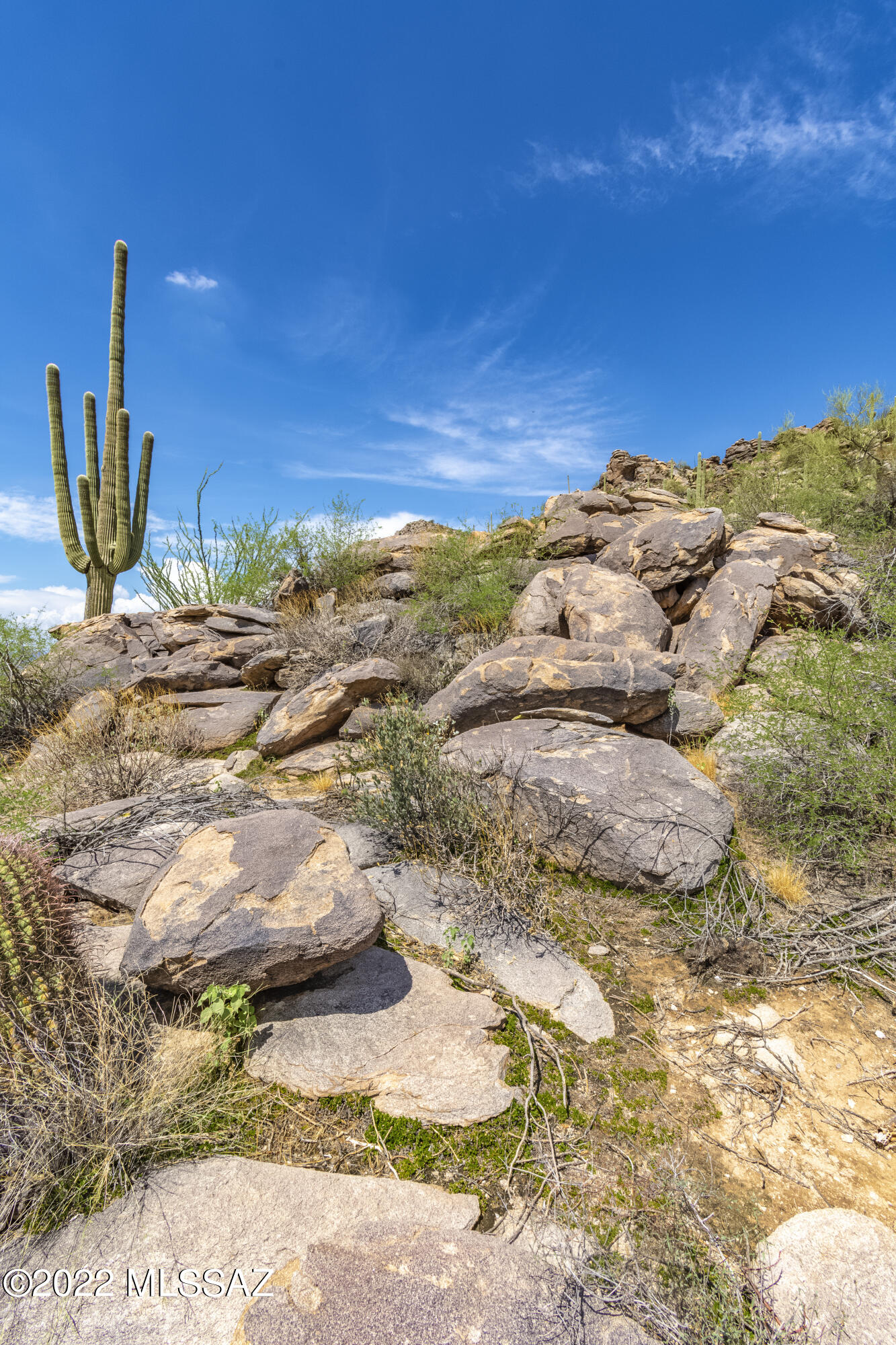 Saguaro Ranch II (L 50-51;53-65) - Land