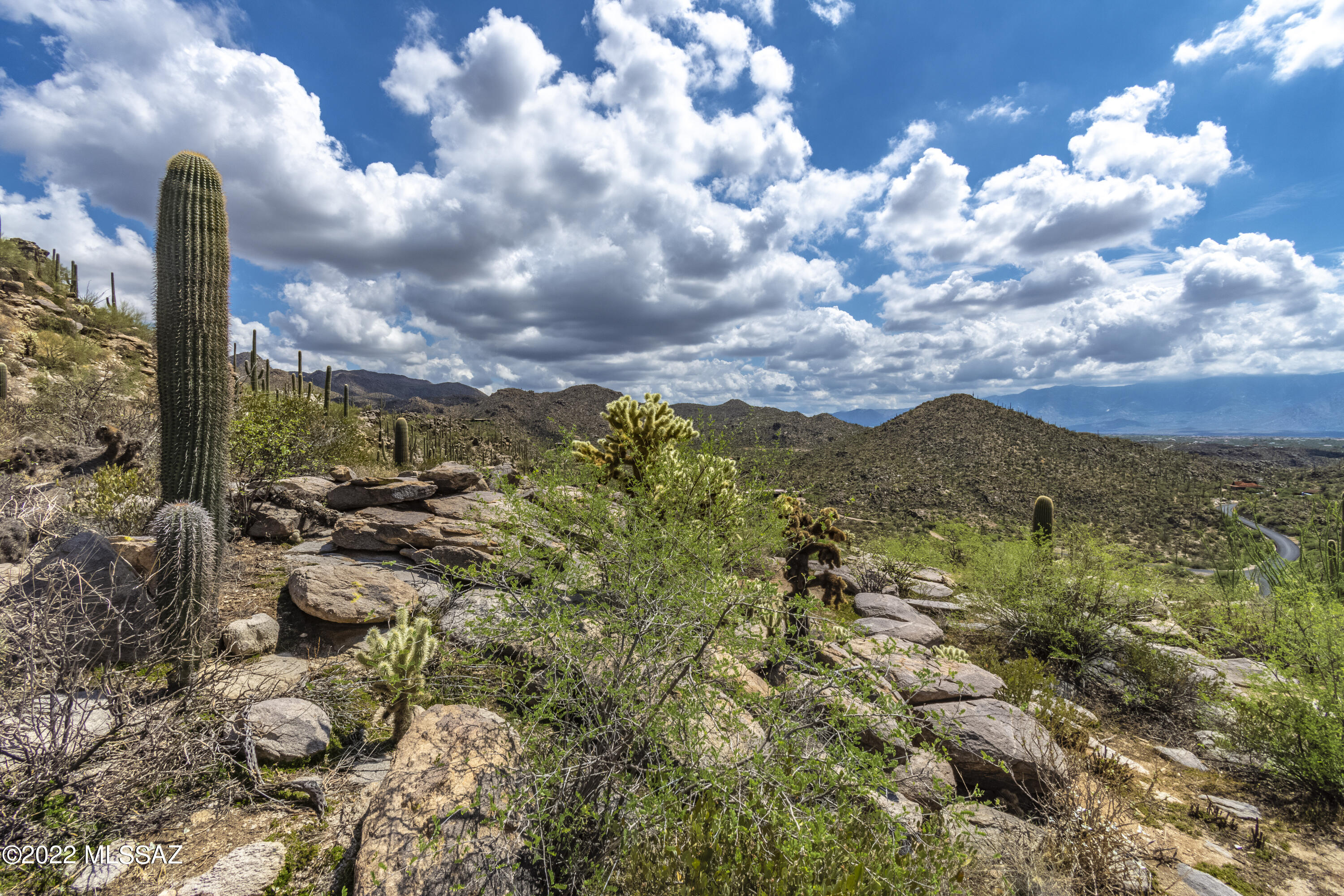 Saguaro Ranch II (L 50-51;53-65) - Land