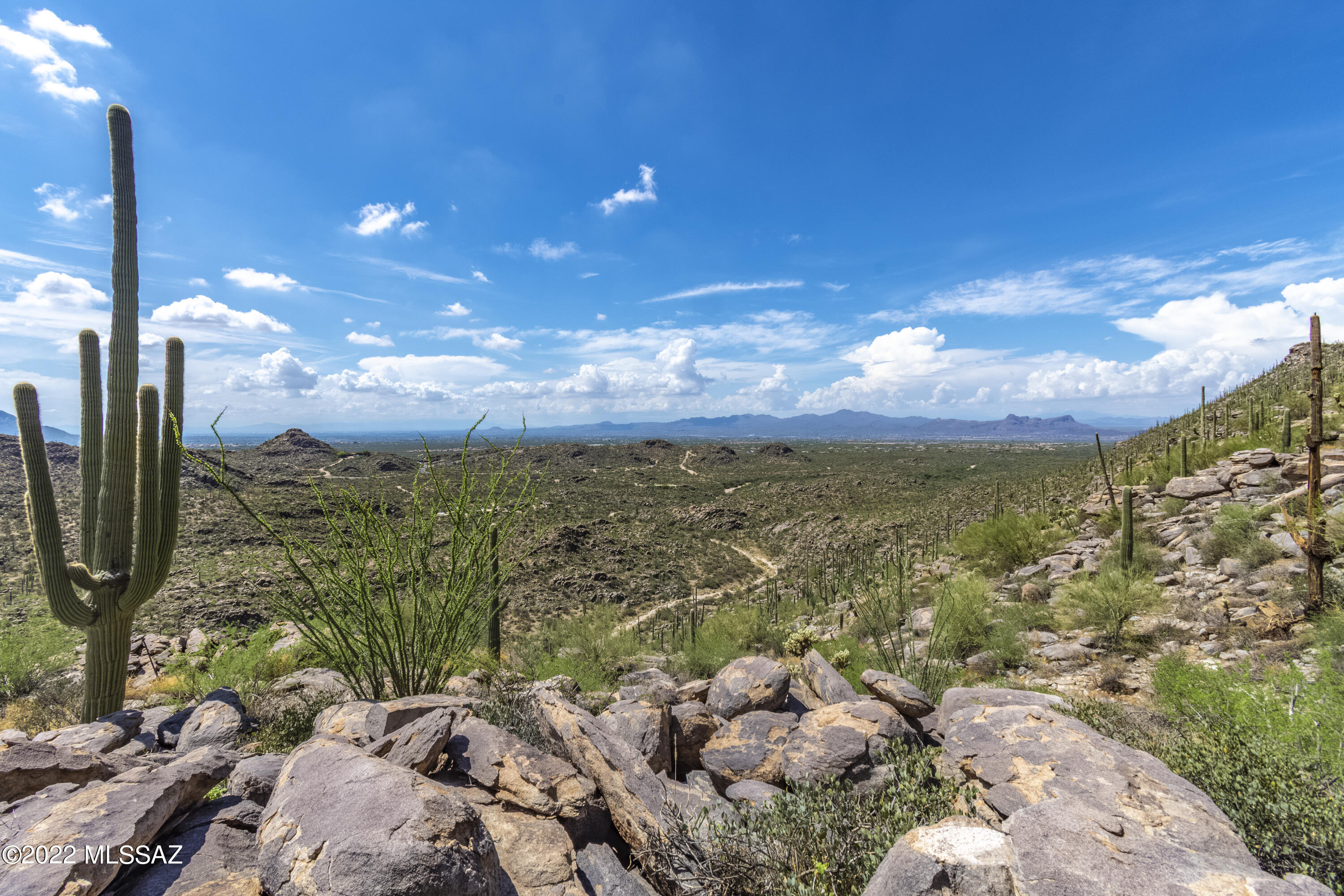 Saguaro Ranch II (L 50-51;53-65) - Land