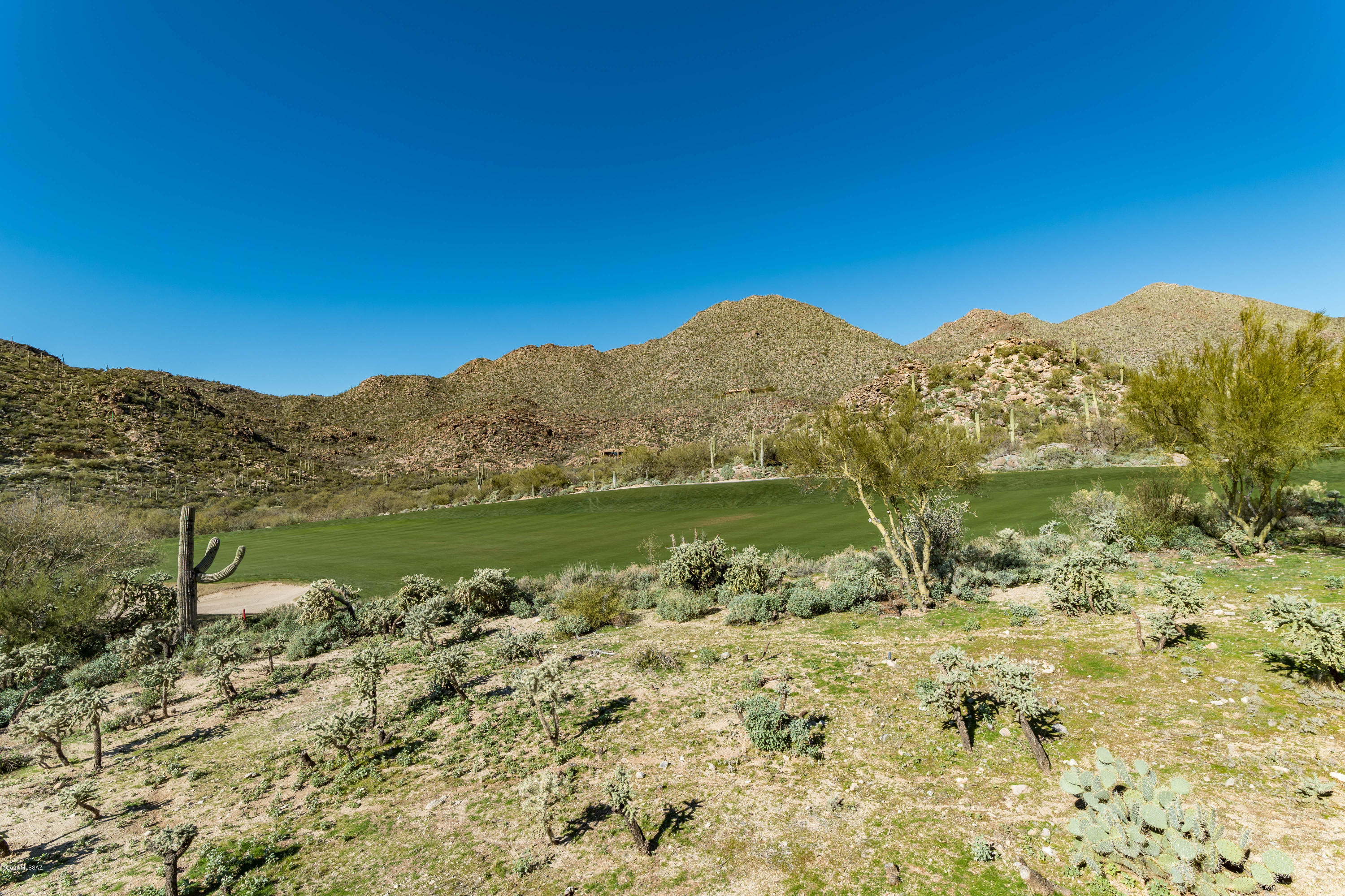 Canyon Pass At Dove Mountain(1-48) - Residential
