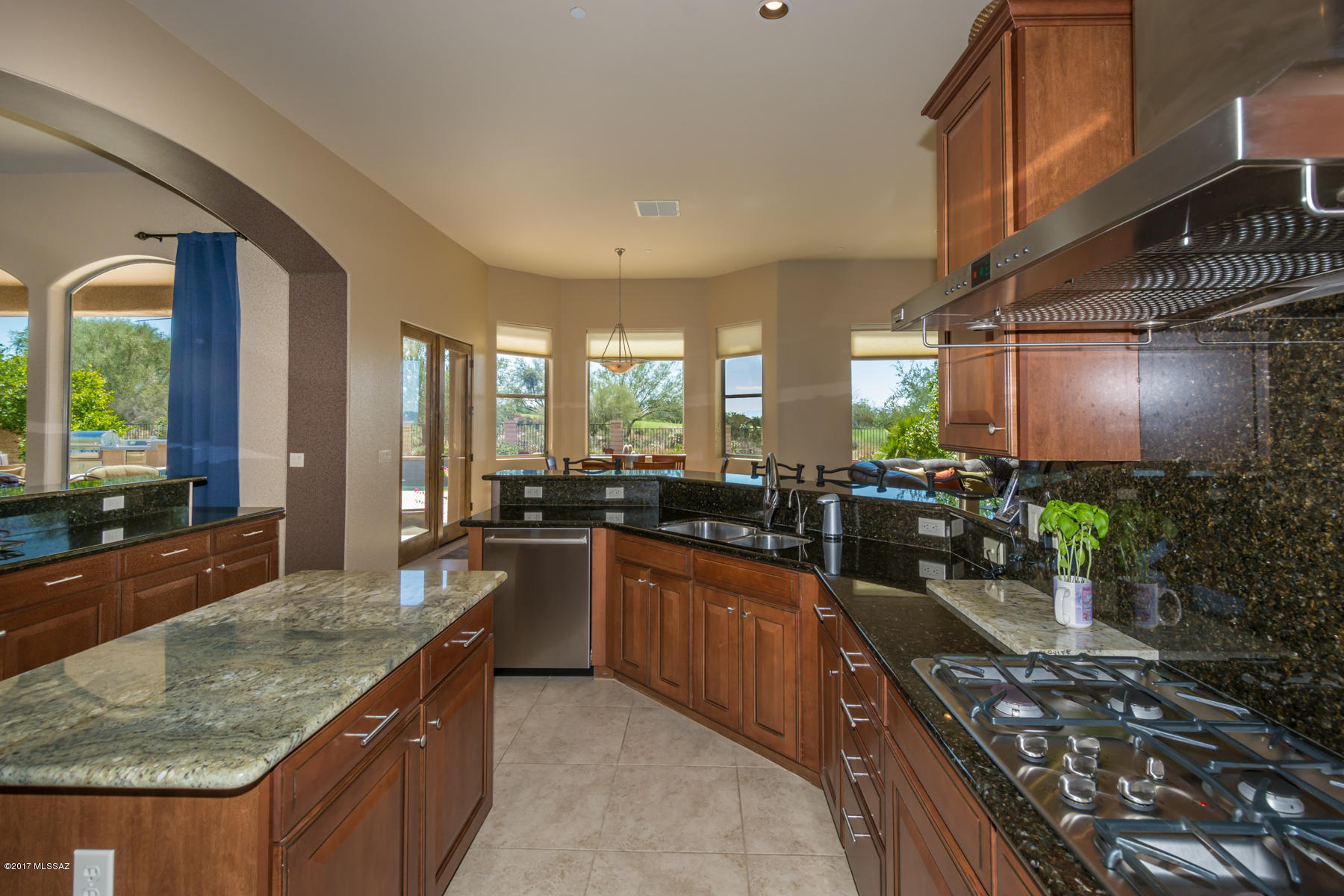 Dos Lagos at Dove Mountain (1-91) - Residential