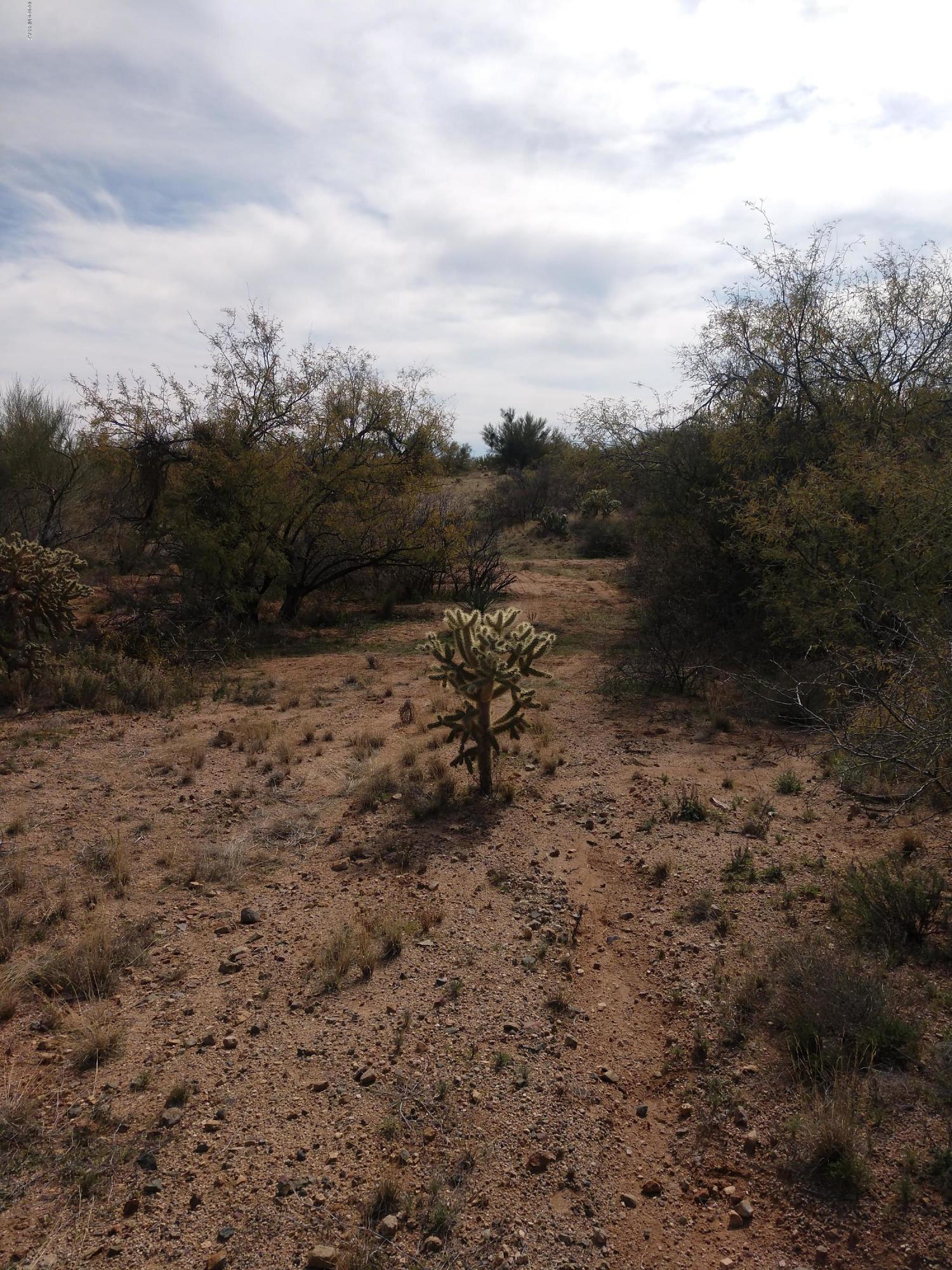 Curly Horn Ranches - Land