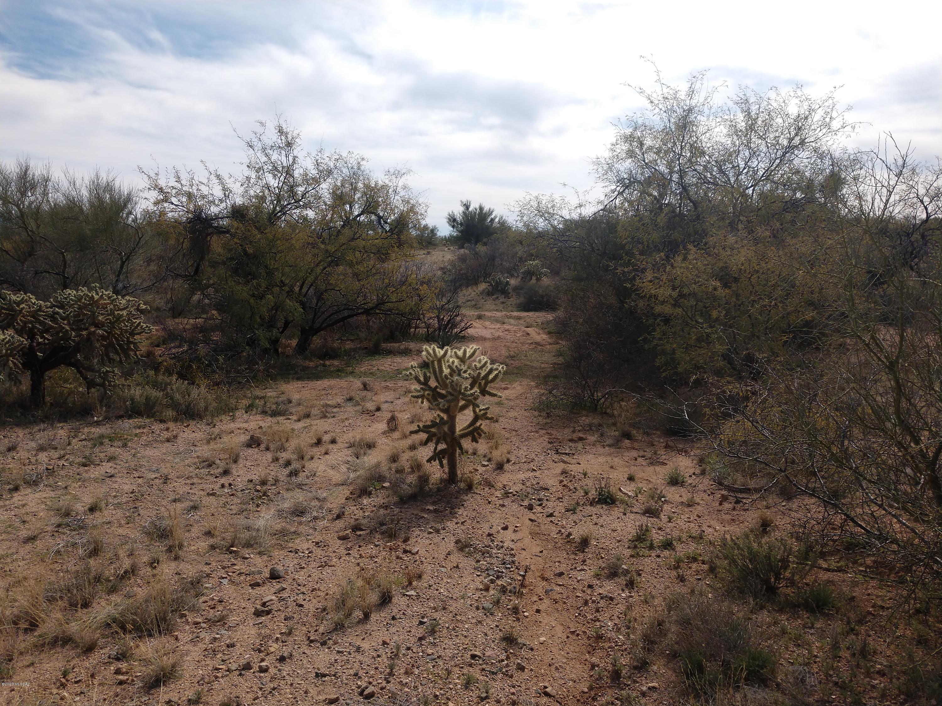 Curly Horn Ranches - Land