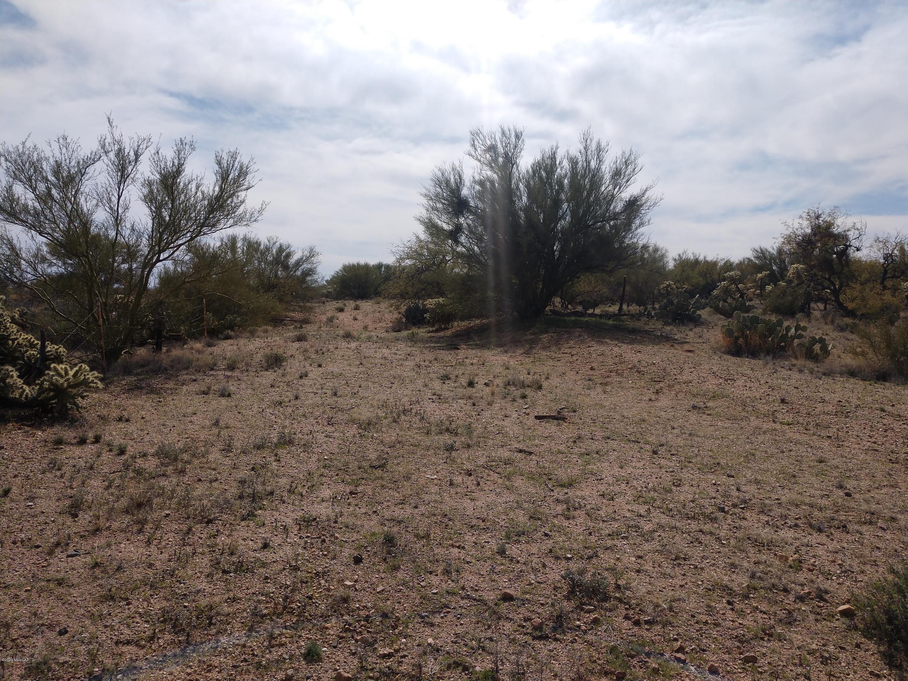 Curly Horn Ranches - Land