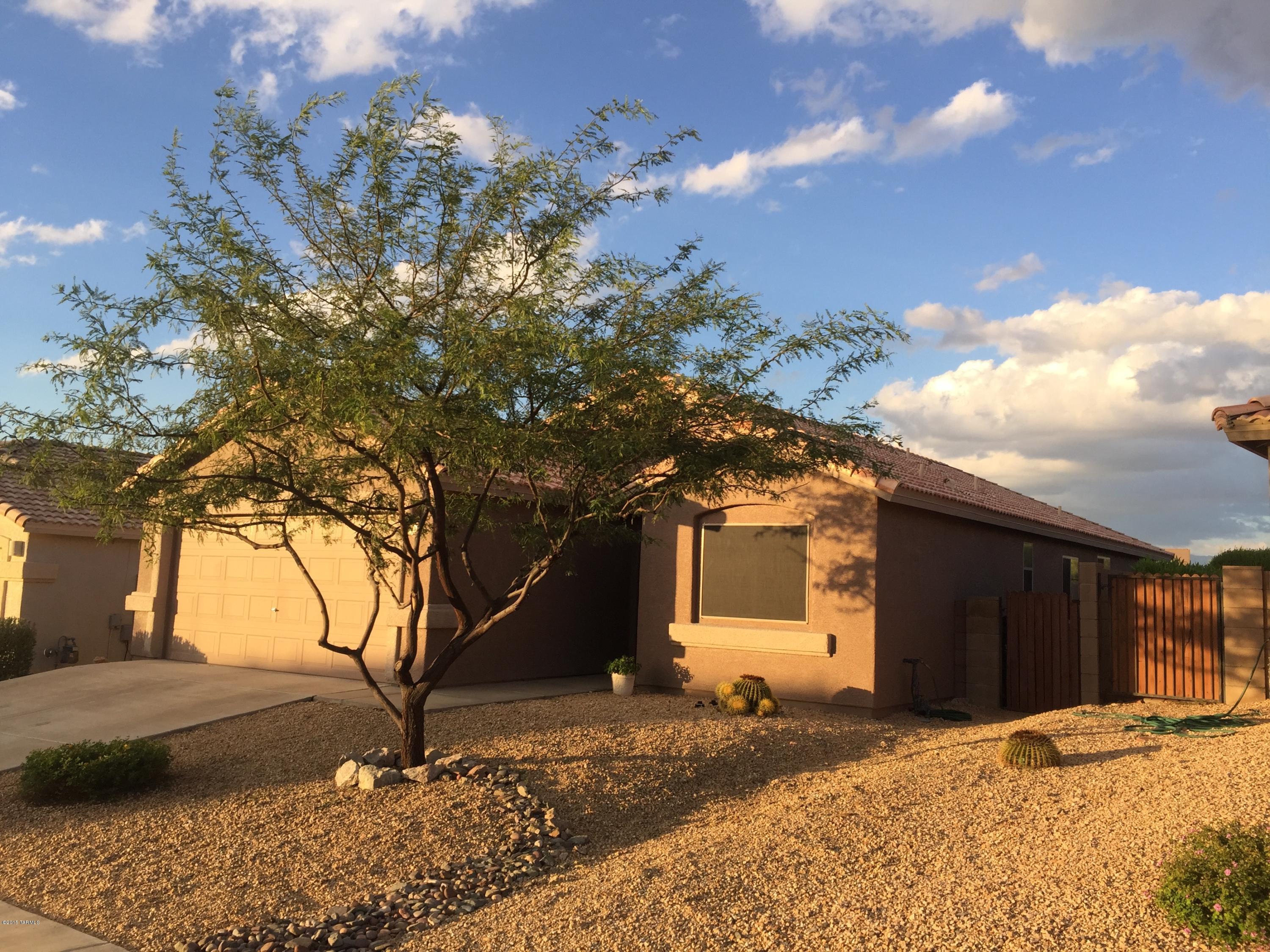 Beautiful contemporary home backing up to open desert. Nice open floorplan with split bedrooms. Lots of counter and storage space w/roll out cabinets in kitchen. Master bedroom has his & hers closets. Windows have wooden blinds. Front yard faces a small park area. W/D do not convey.