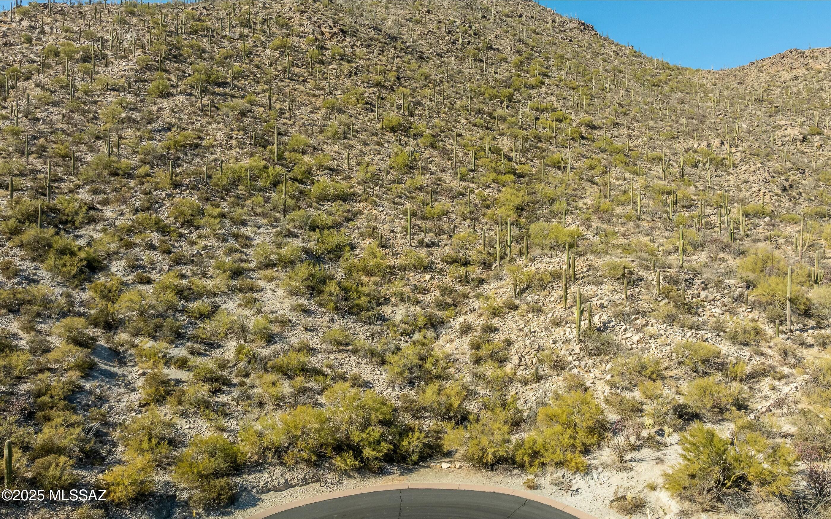 Canyon Pass At Dove Mountain - Land