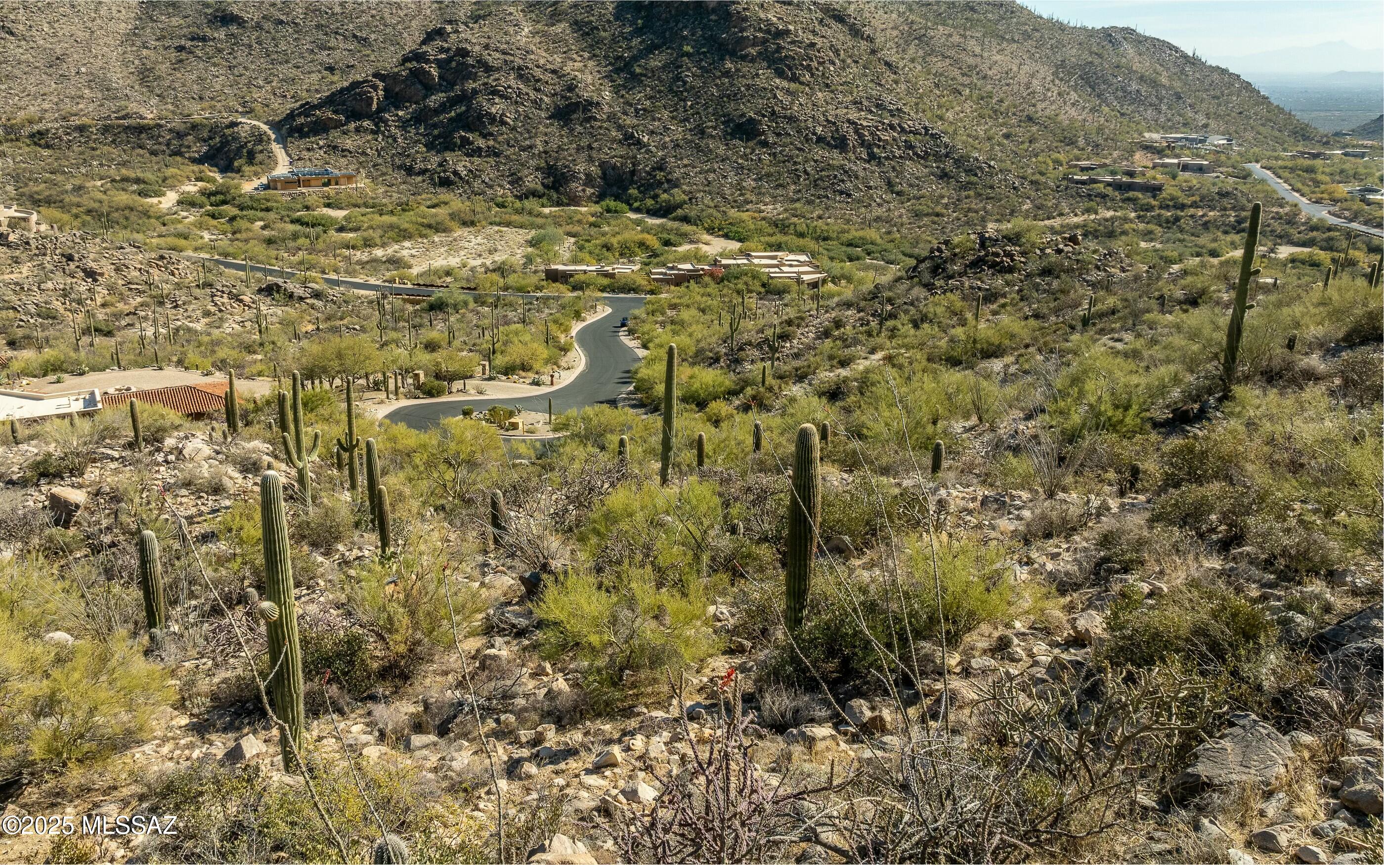 Canyon Pass At Dove Mountain - Land