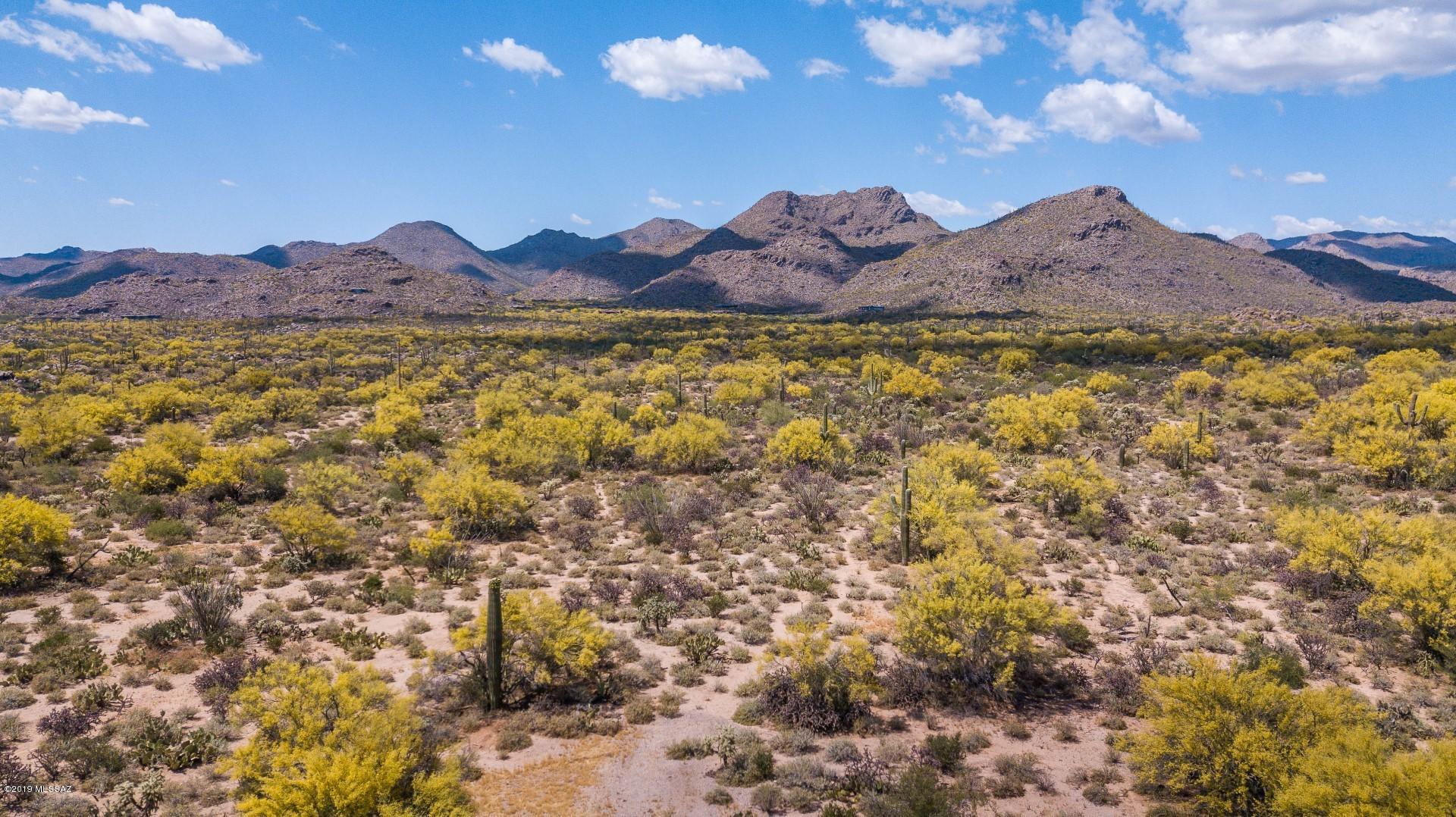 This Insight Home on this stunning 3.3 Acre view lot at Butterfly Mountain has 3 bedrooms plus den and fully extended master suite. This Sedona floor plan features, solid knotty alder doors, tall ceilings and large windows to capture the view of the Tortolita Mtns.Custom structural and design options are included in this home.