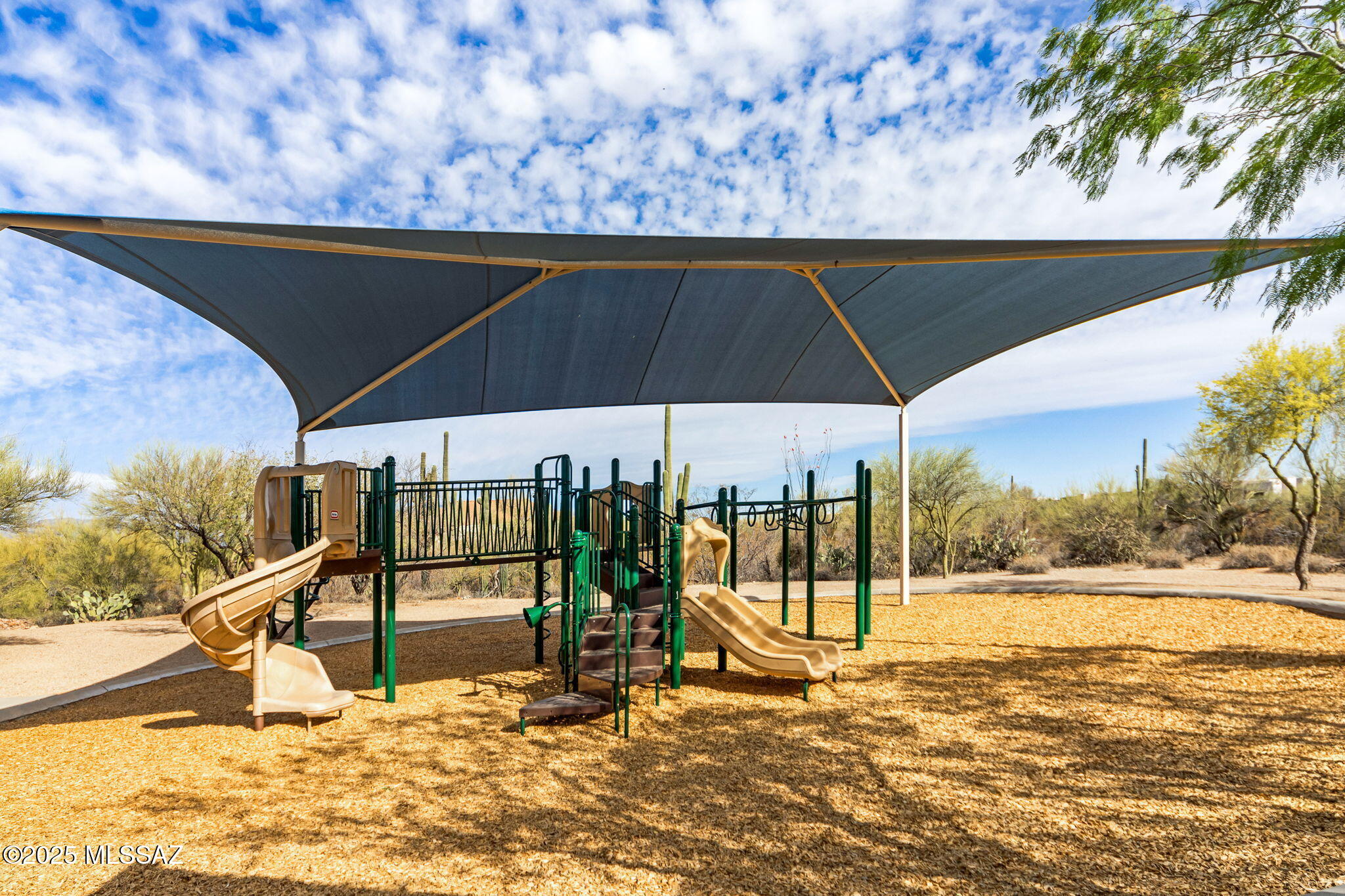 Preserve at Dove Mountain (1-182) - Residential