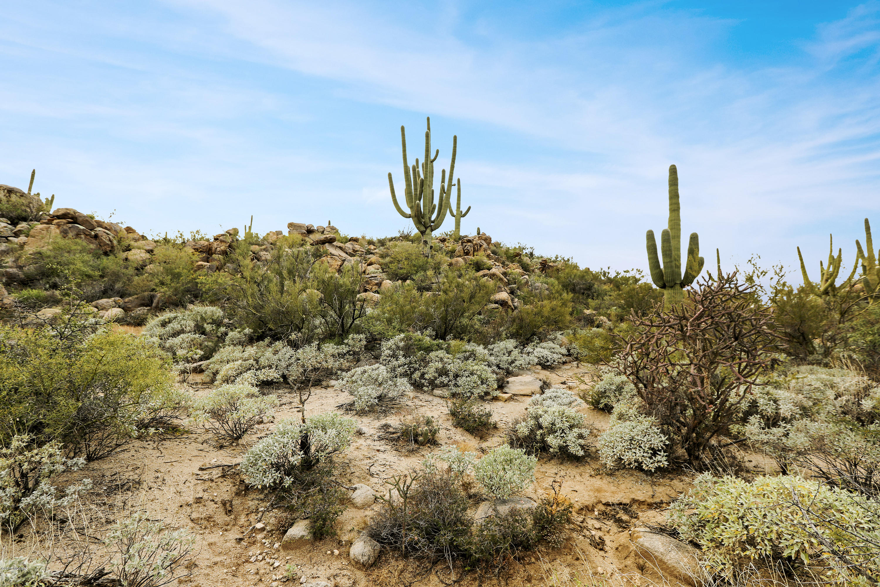 Stone Canyon VIII (486-602) - Land
