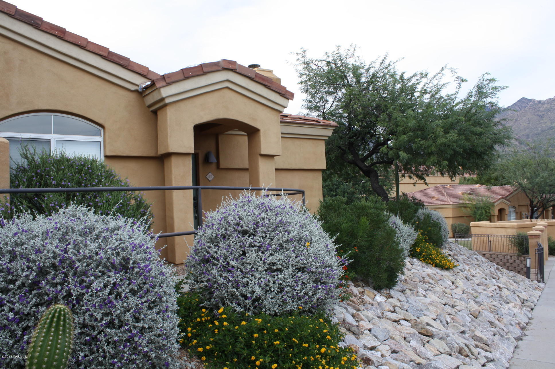 Pinnacle Canyon Condominium - Residential Lease