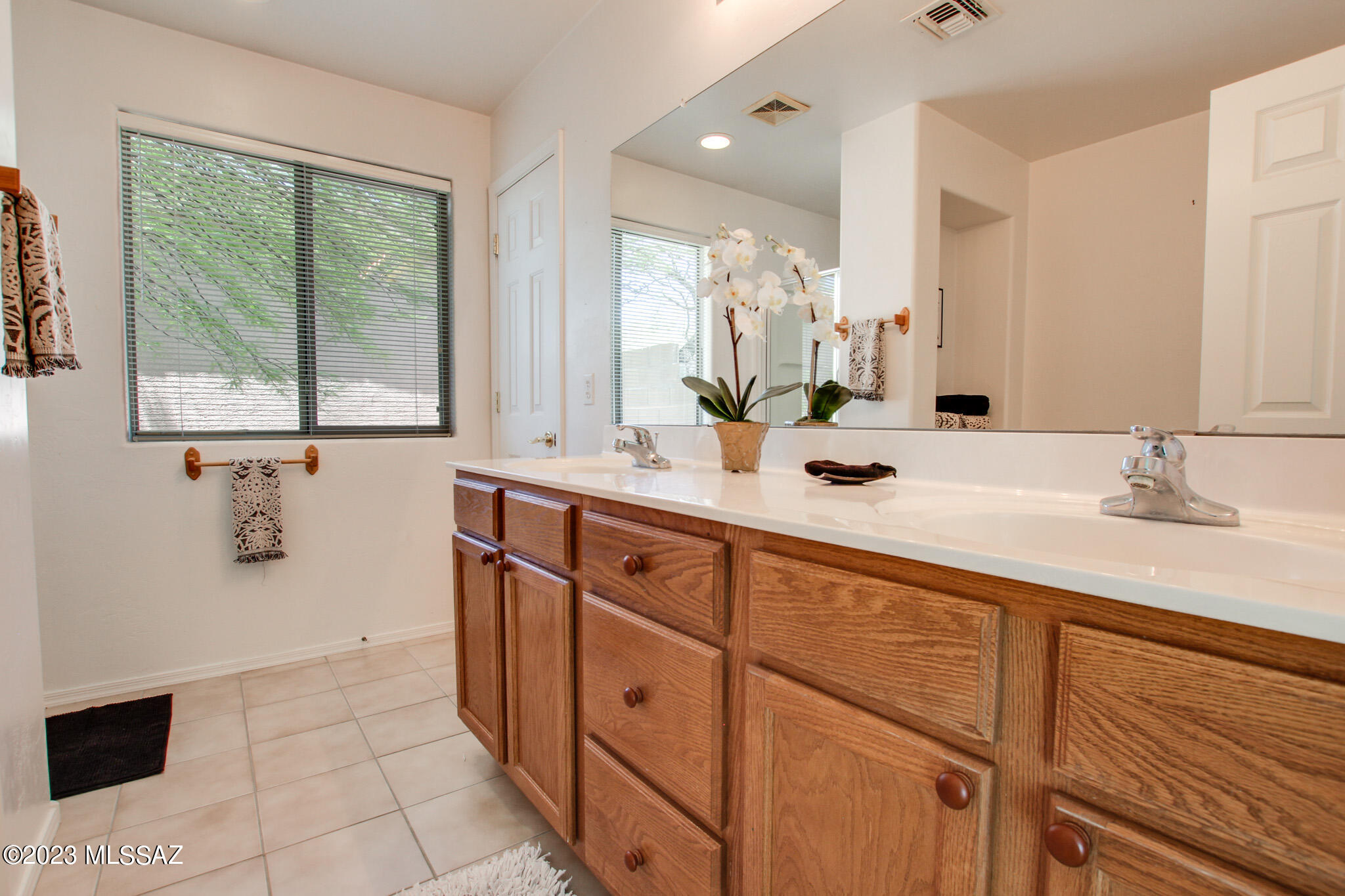 Tucson Mountain Sanctuary (1-154) - Residential