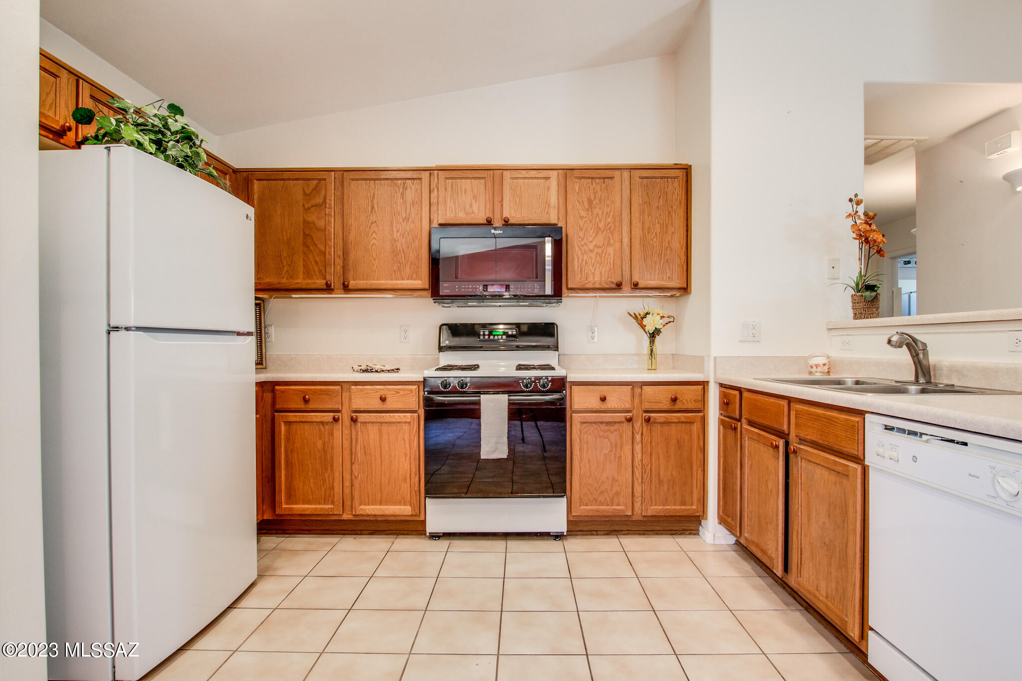 Tucson Mountain Sanctuary (1-154) - Residential