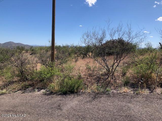 Rio Rico Ranchettes 12 - Land
