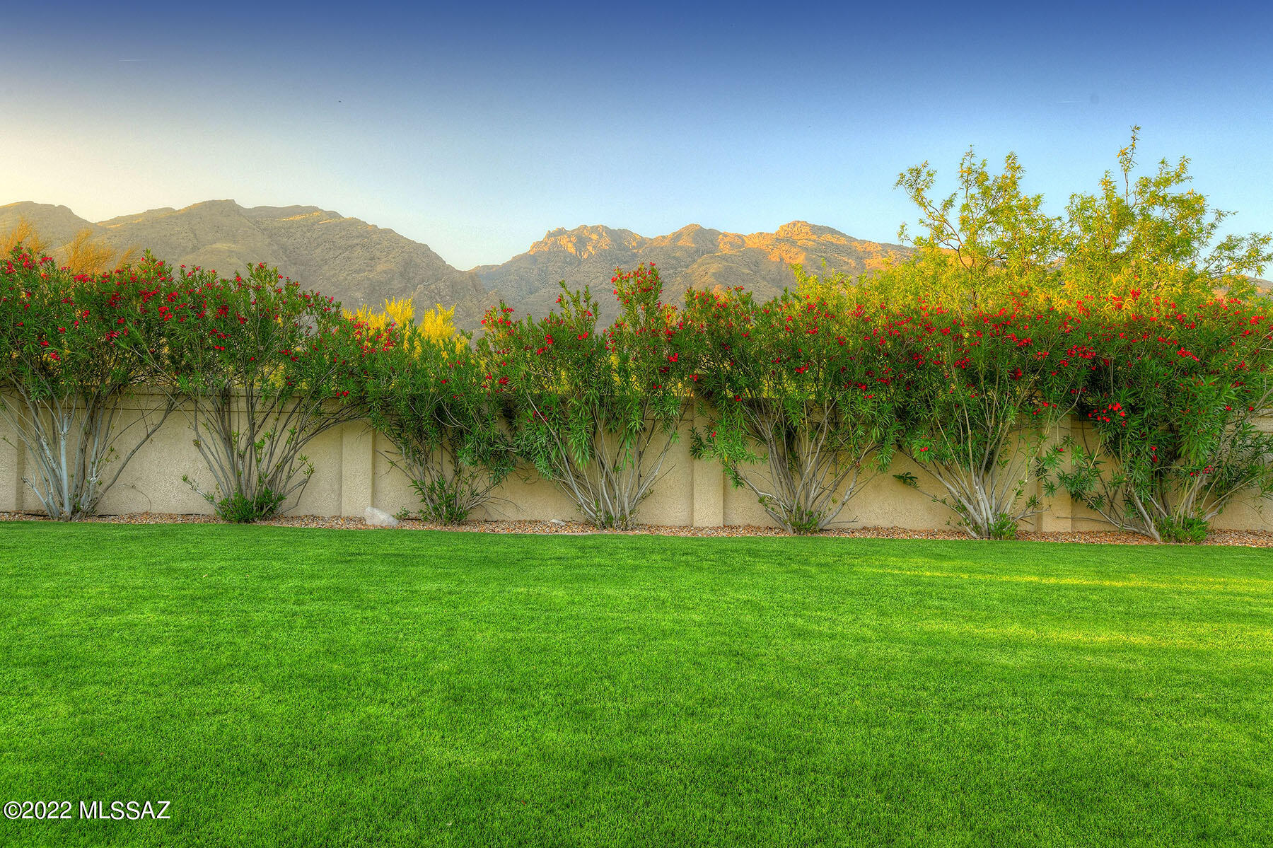 Cimarron Foothills Estates (254-408) - Residential