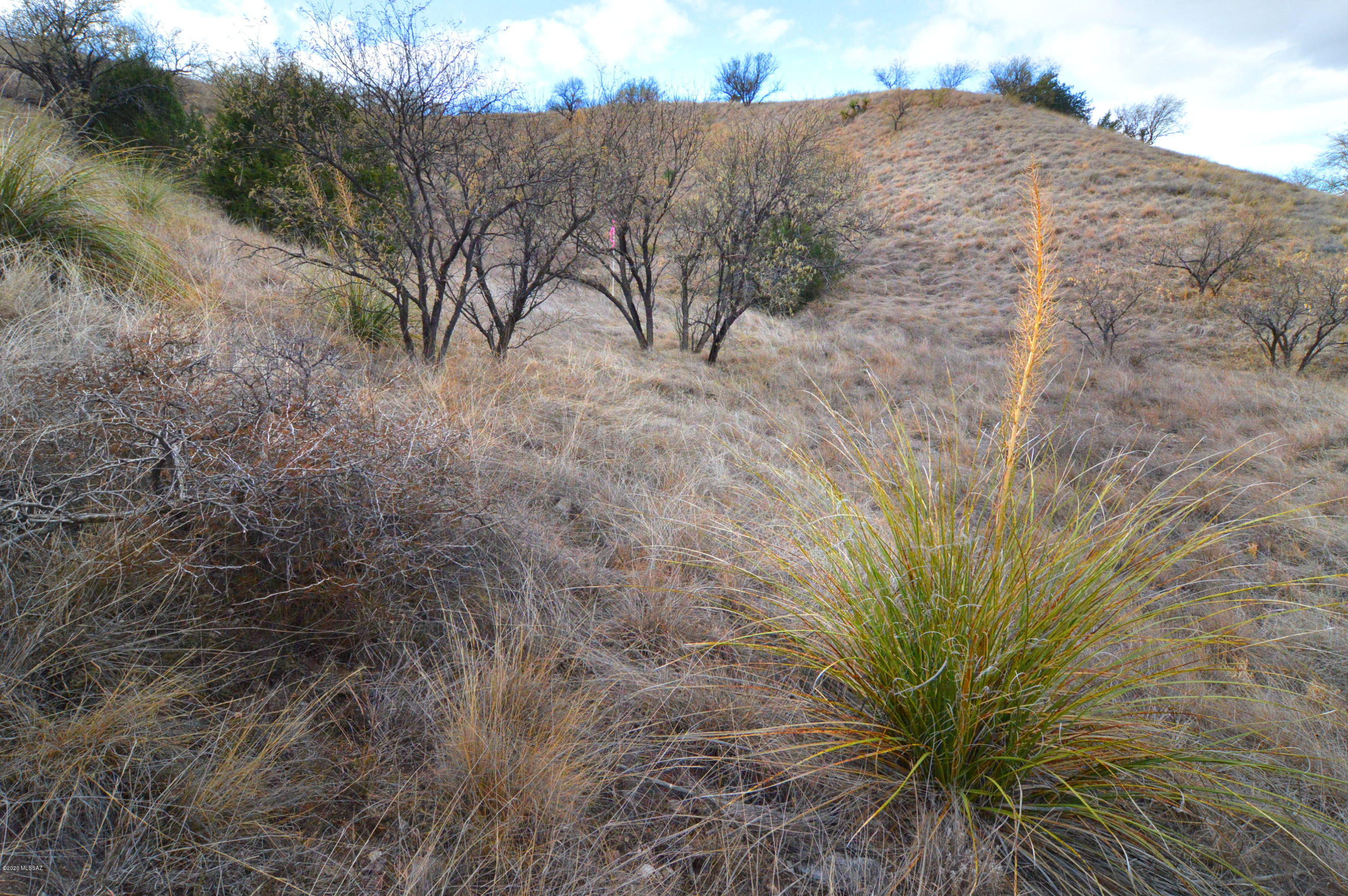 Three Canyons - Land