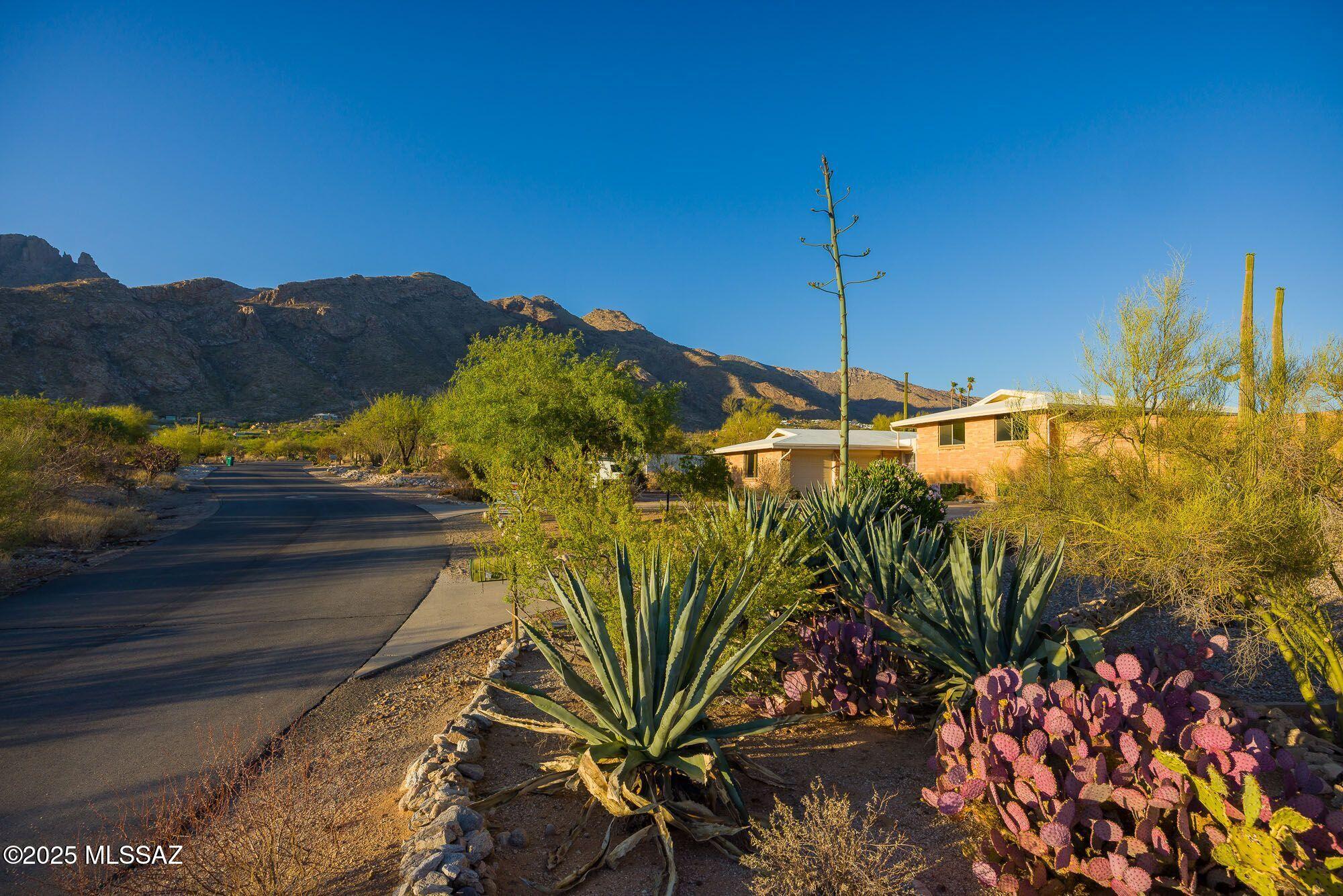 Coronado Foothills Estates - Residential