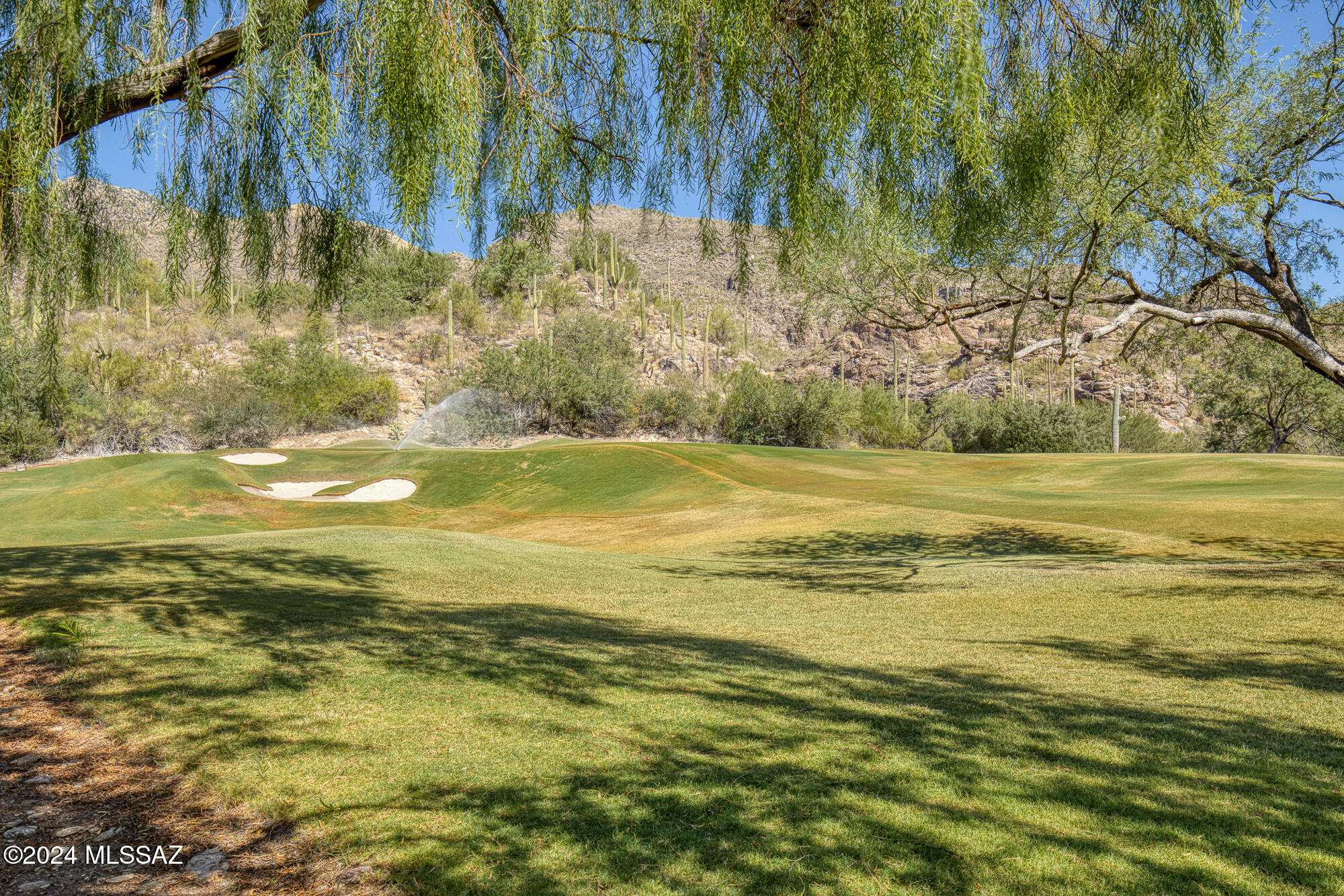 Ventana Canyon Estates (1-63) - Residential
