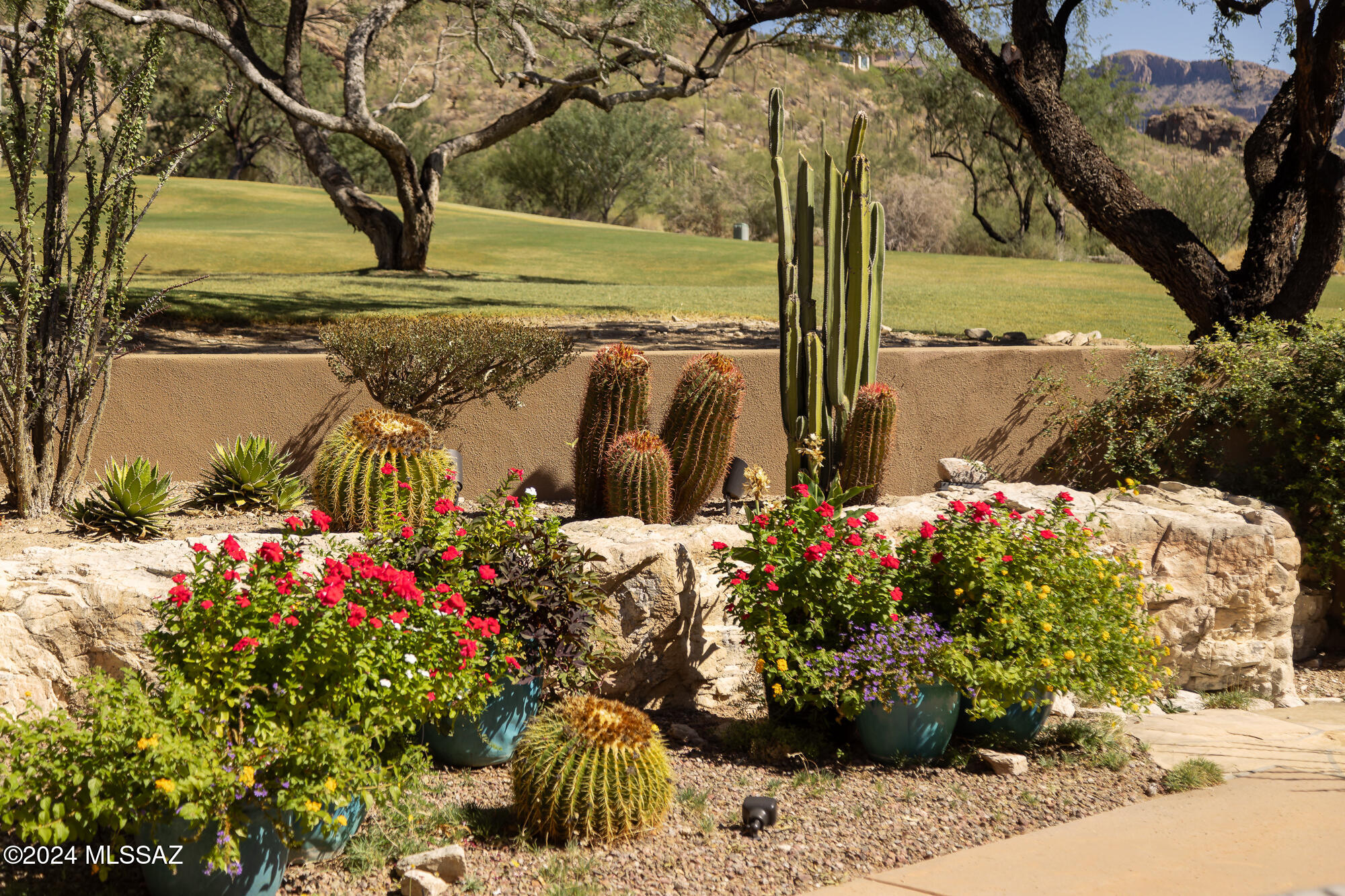 Ventana Canyon Estates (1-63) - Residential