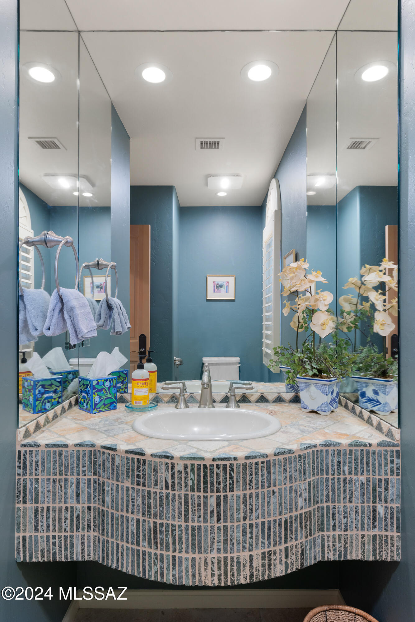 Ventana Canyon Estates (1-63) - Residential