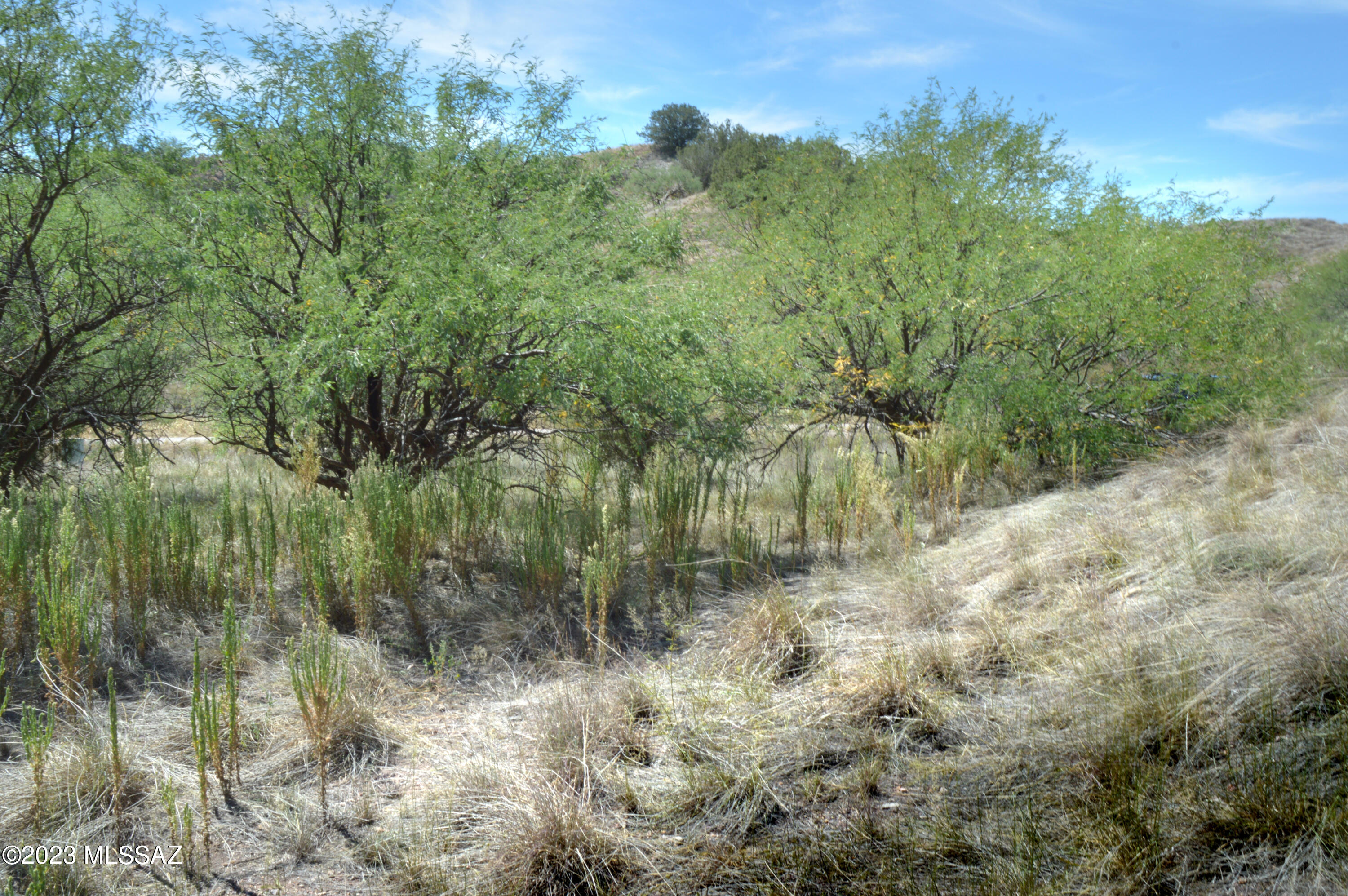 WILDLIFE CORRIDORS is an environmentally thoughtful development in the heart of Southern Arizona's Sky Islands. Recognized by the National Association of Counties for best practices in sustainable projects and programs, Wildlife Haven was designed to protect the land and wildlife while providing an exceptional community lifestyle for its residents. Each parcel has a predetermined building location/pad that is cushioned within a conservation easement, the land will continue to sustain the natural wildlife corridor and migratory bird pathway. If you are longing for tranquility, moderate temperatures, nearby recreational activities, and star-filled night skies, you will appreciate this special development. See: BorderlandsRestoration.org for more information.
