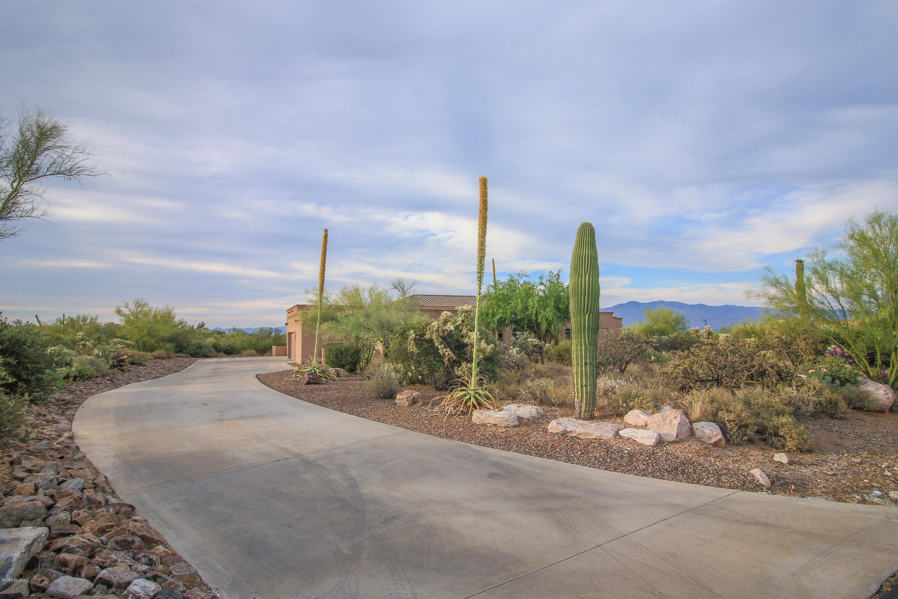 Saguaro Cliffs (1-61) - Residential