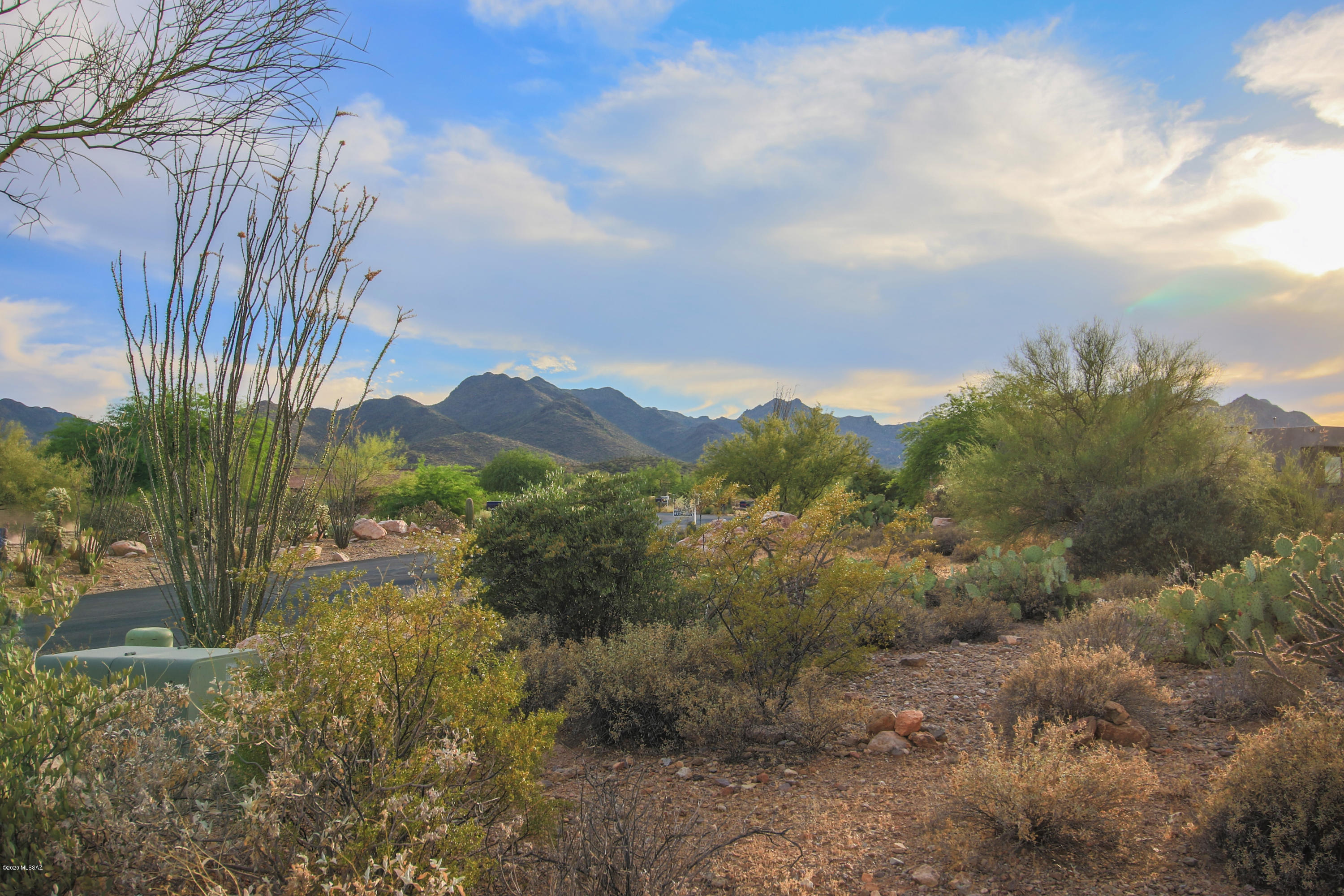 Saguaro Cliffs (1-61) - Residential