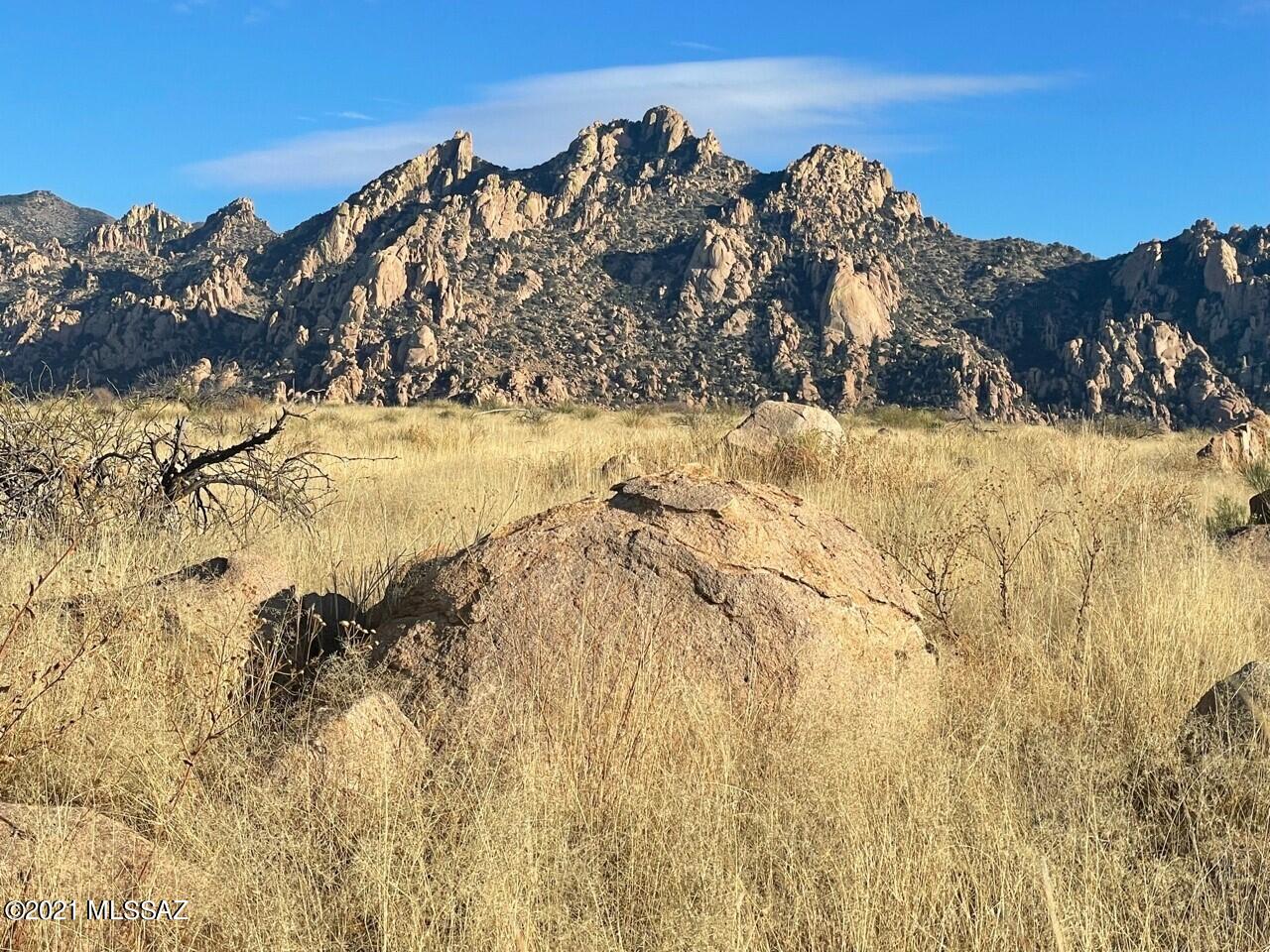 Dragoon Mountain Ranch - Land