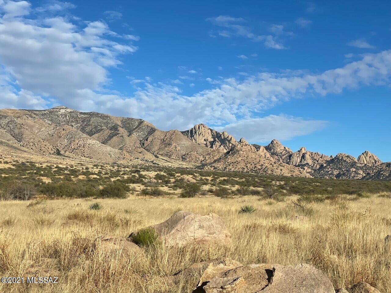 Dragoon Mountain Ranch - Land