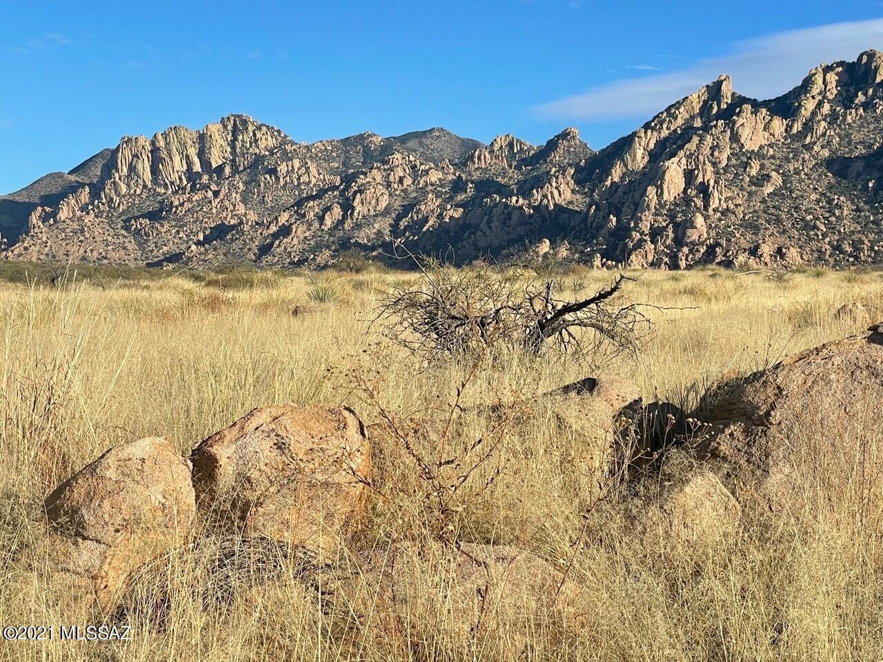 Dragoon Mountain Ranch - Land