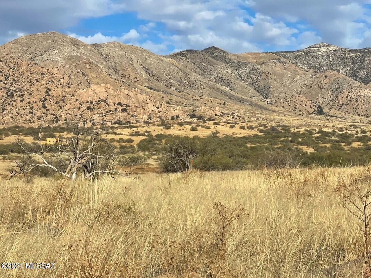 Dragoon Mountain Ranch - Land
