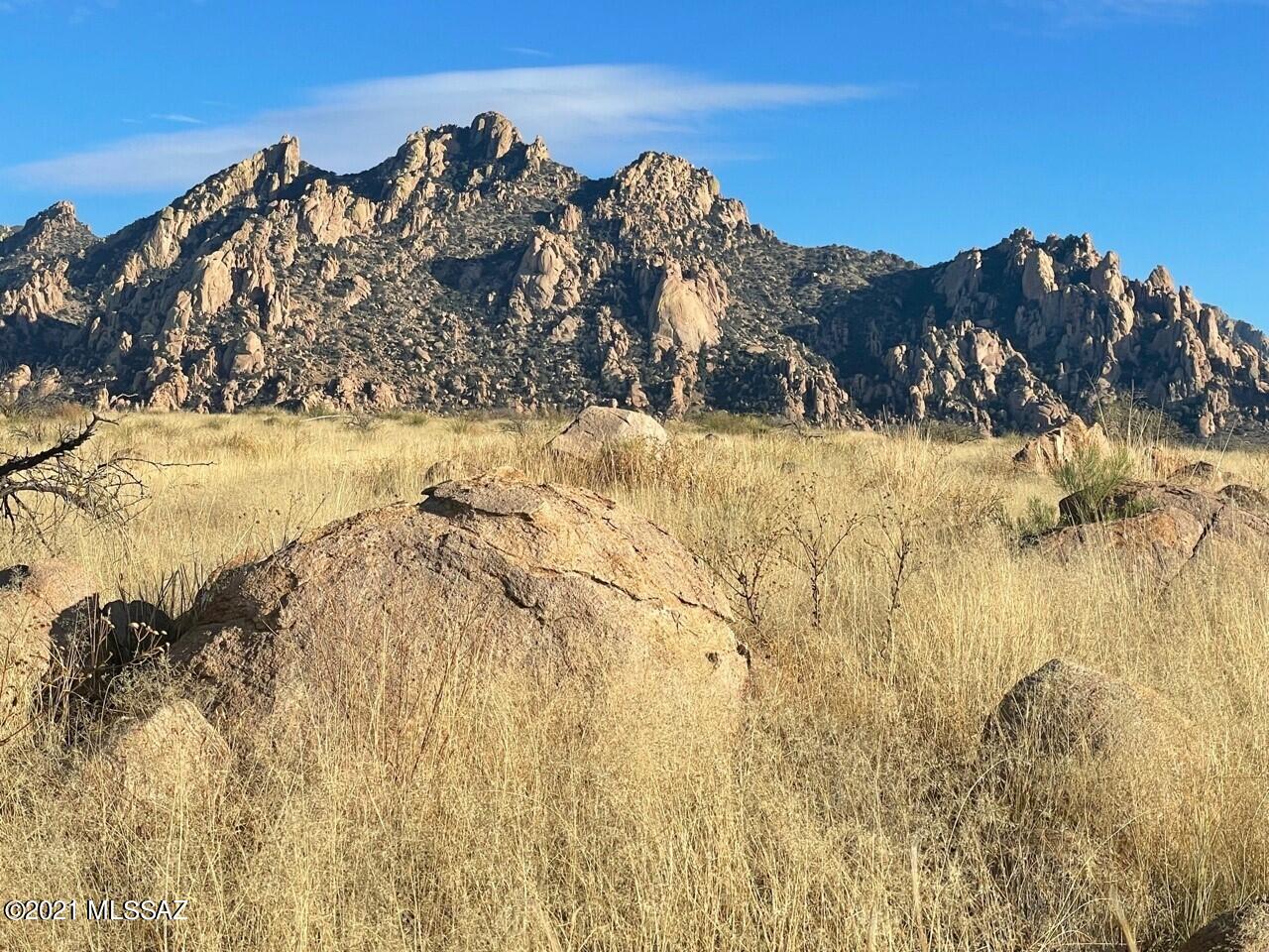 Dragoon Mountain Ranch - Land