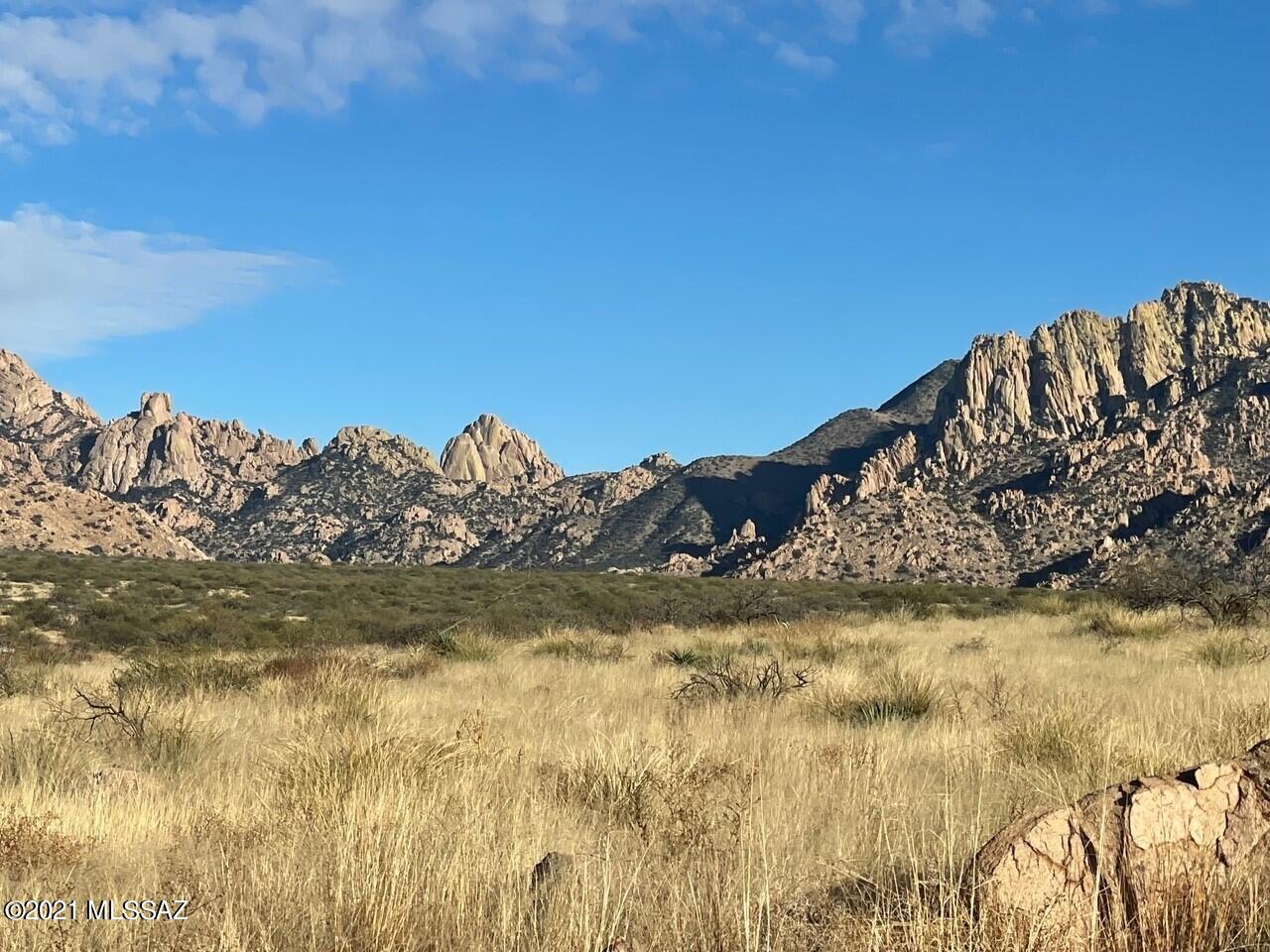 Spectacular views right up Stronghold Canyon and of the magnificent Dragoon Mountains from this level, easy building site amongst the boulders. Underground electric and phone. Site built homes only only in this prestigious large parcel subdivision with no further lot partitioning. Good roads and only a quarter mile to the 52,000 acre Coronado National Forest. Excellent horse property with lots of history. Please call for details today.