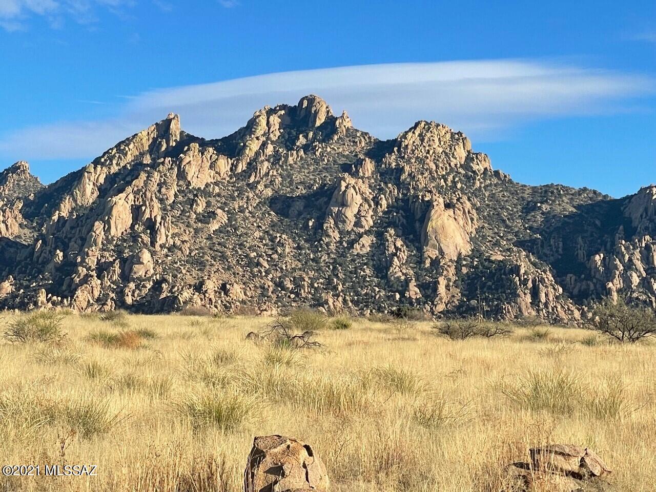 Dragoon Mountain Ranch - Land