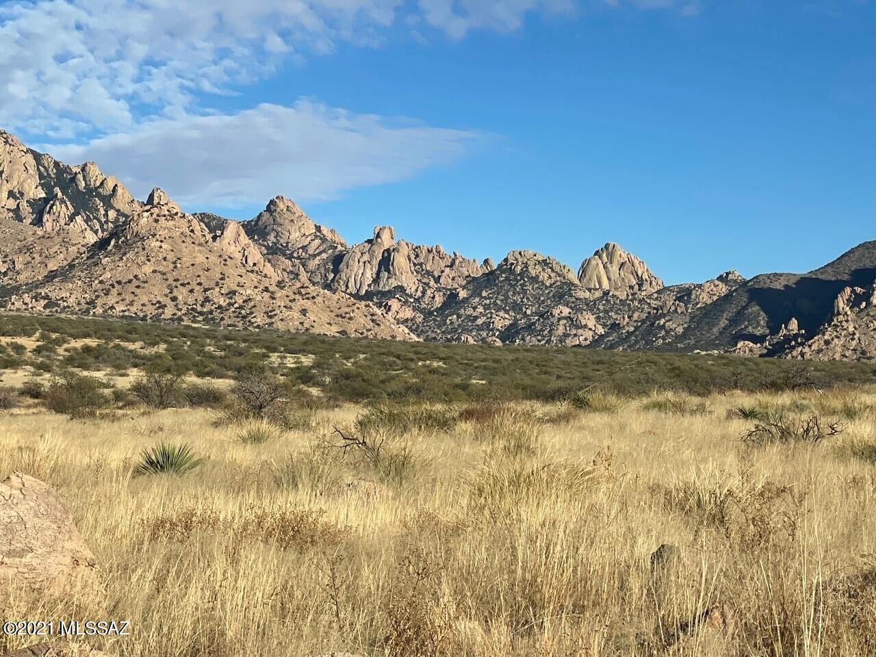Dragoon Mountain Ranch - Land