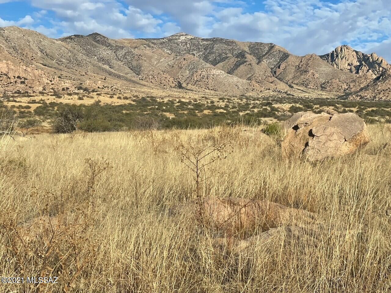 Dragoon Mountain Ranch - Land