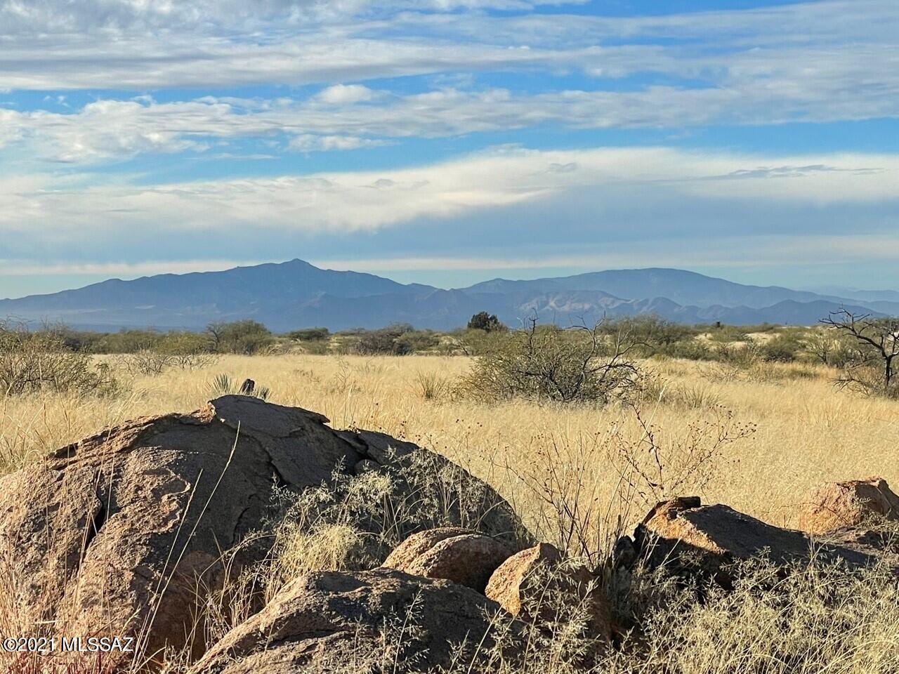 Dragoon Mountain Ranch - Land