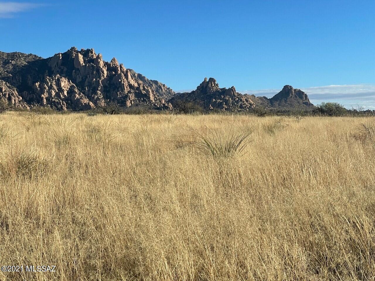 Dragoon Mountain Ranch - Land