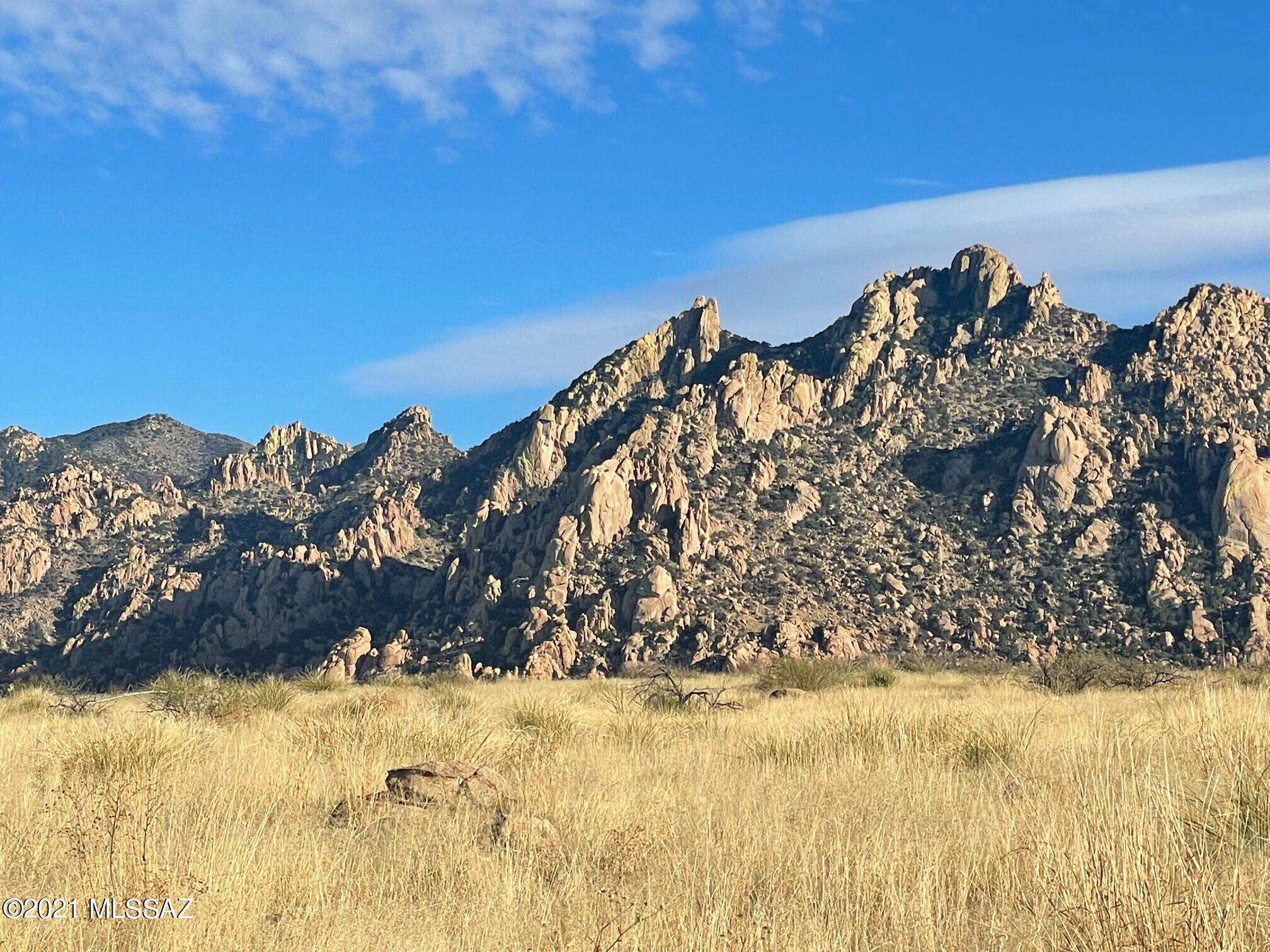 Dragoon Mountain Ranch - Land