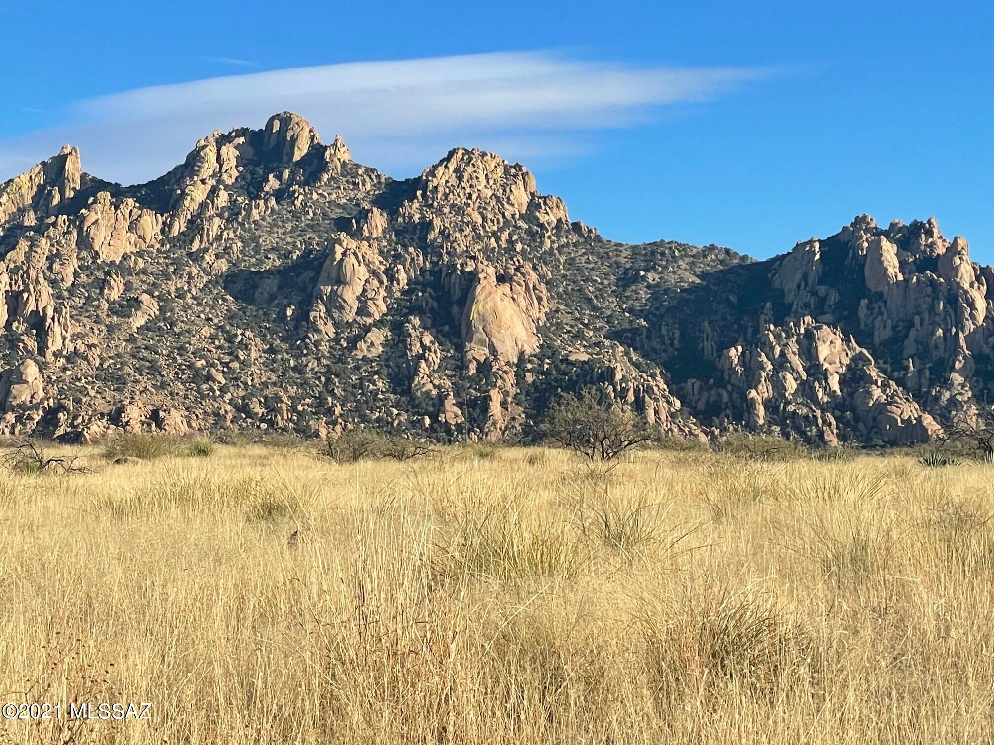 Dragoon Mountain Ranch - Land