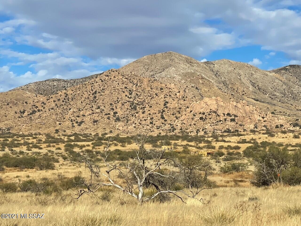 Dragoon Mountain Ranch - Land