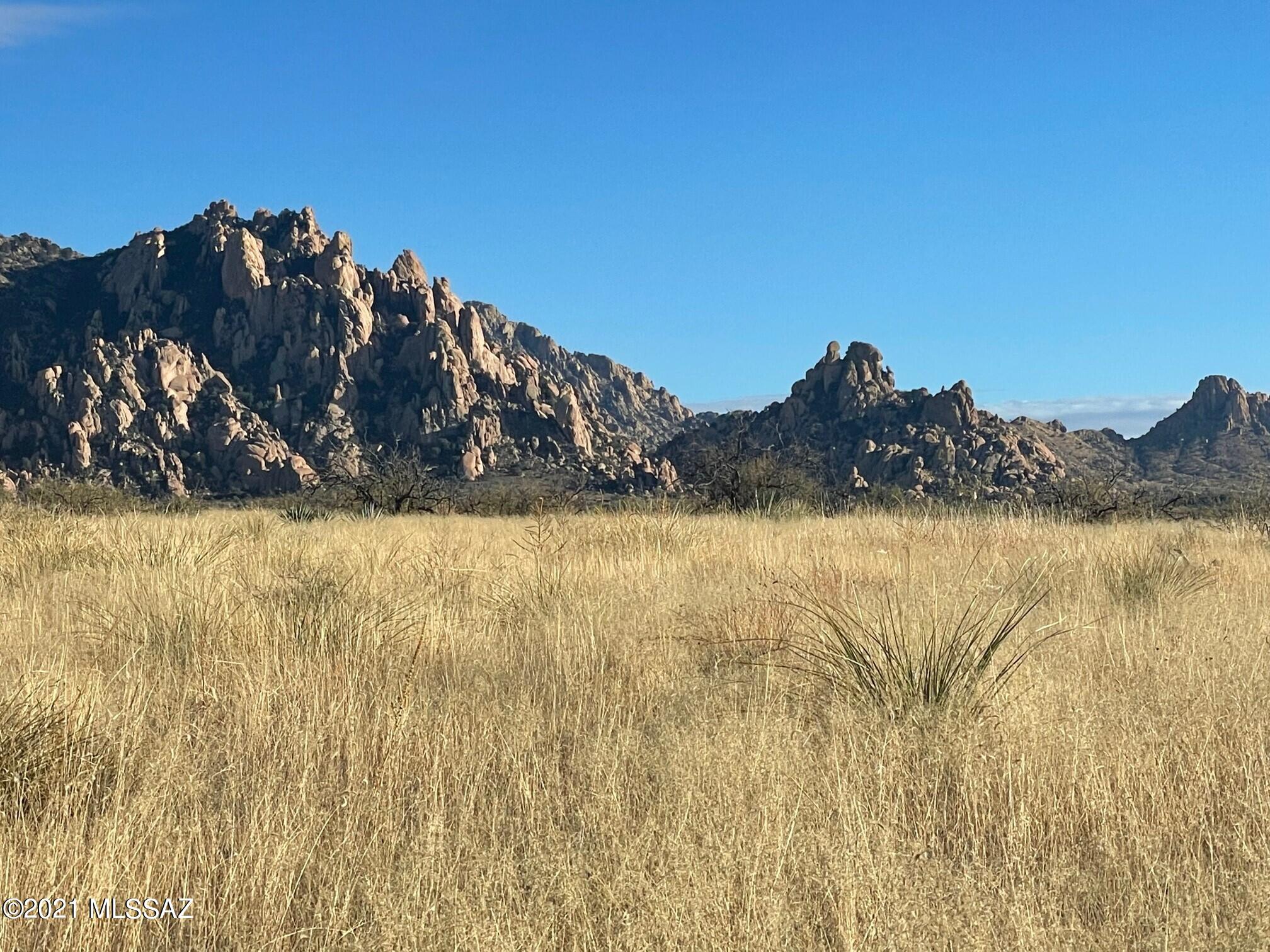 Dragoon Mountain Ranch - Land