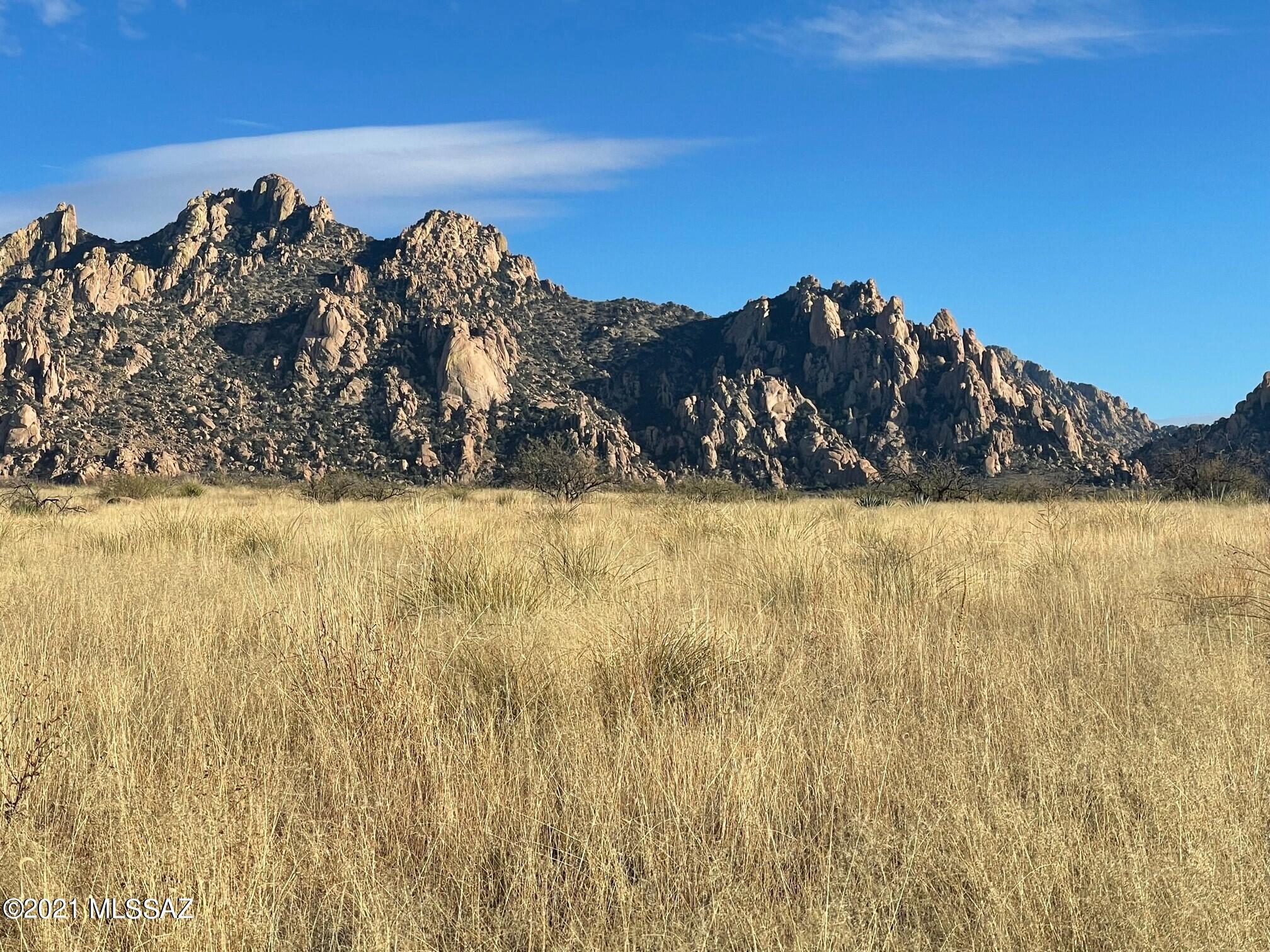 Dragoon Mountain Ranch - Land