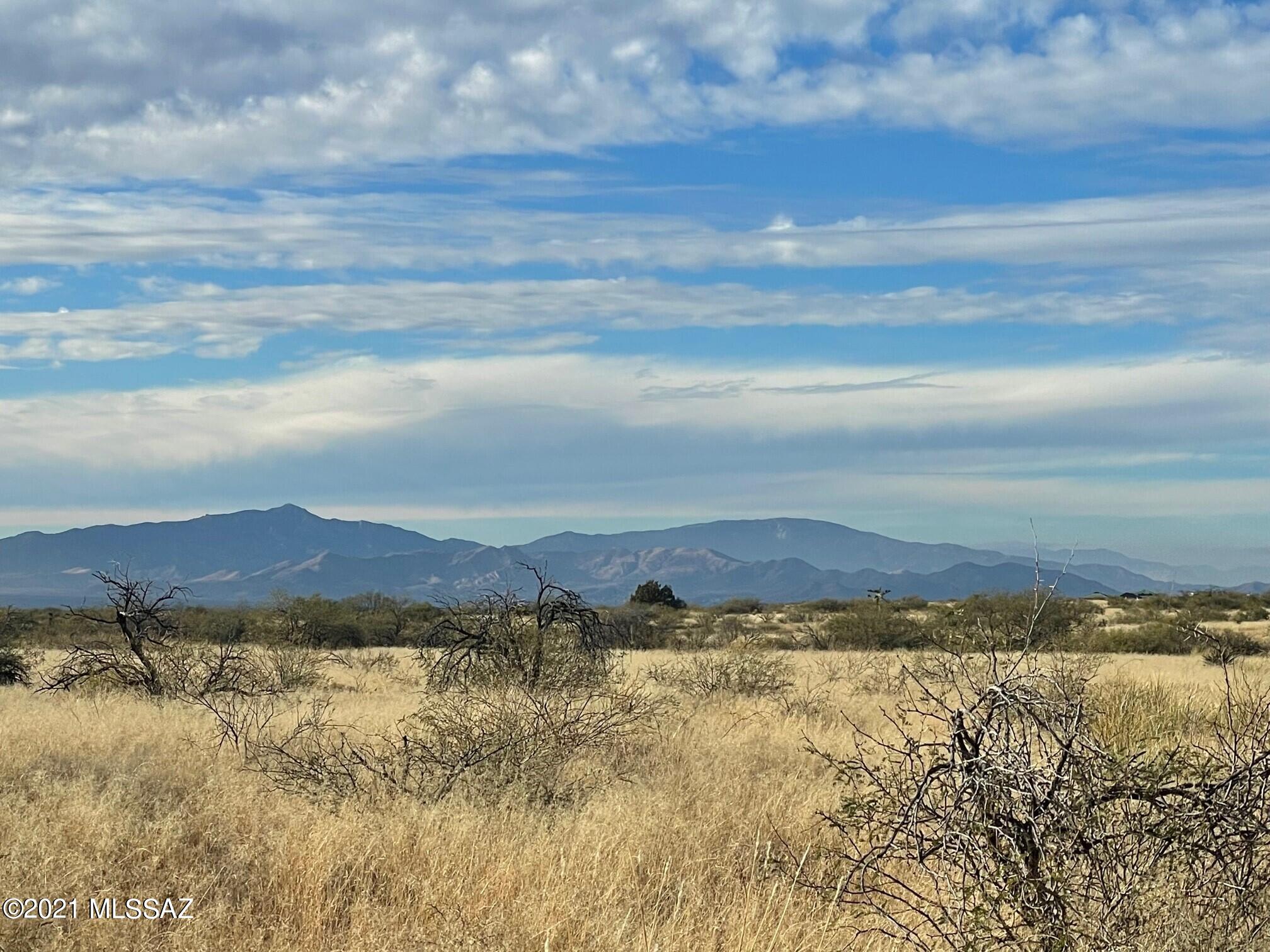 Dragoon Mountain Ranch - Land