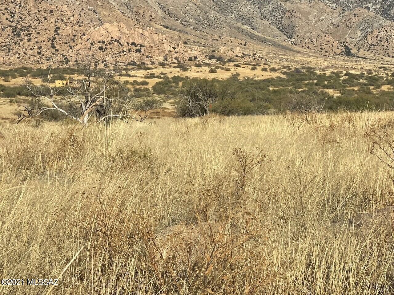 Dragoon Mountain Ranch - Land